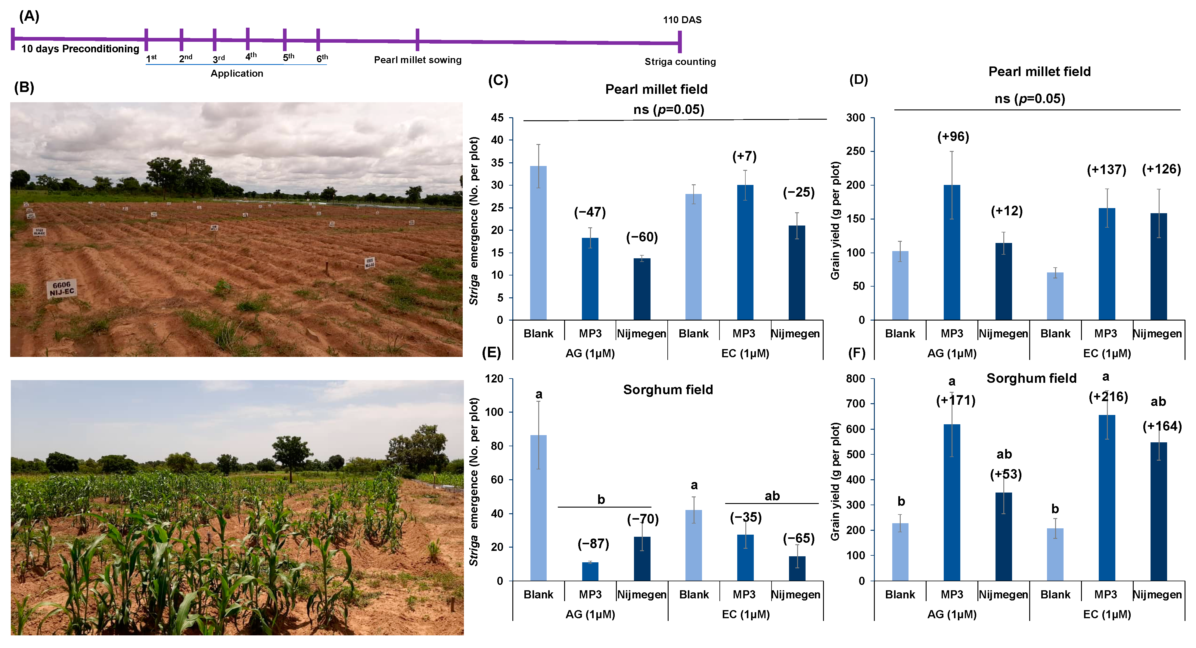 Plants 11 00808 g008