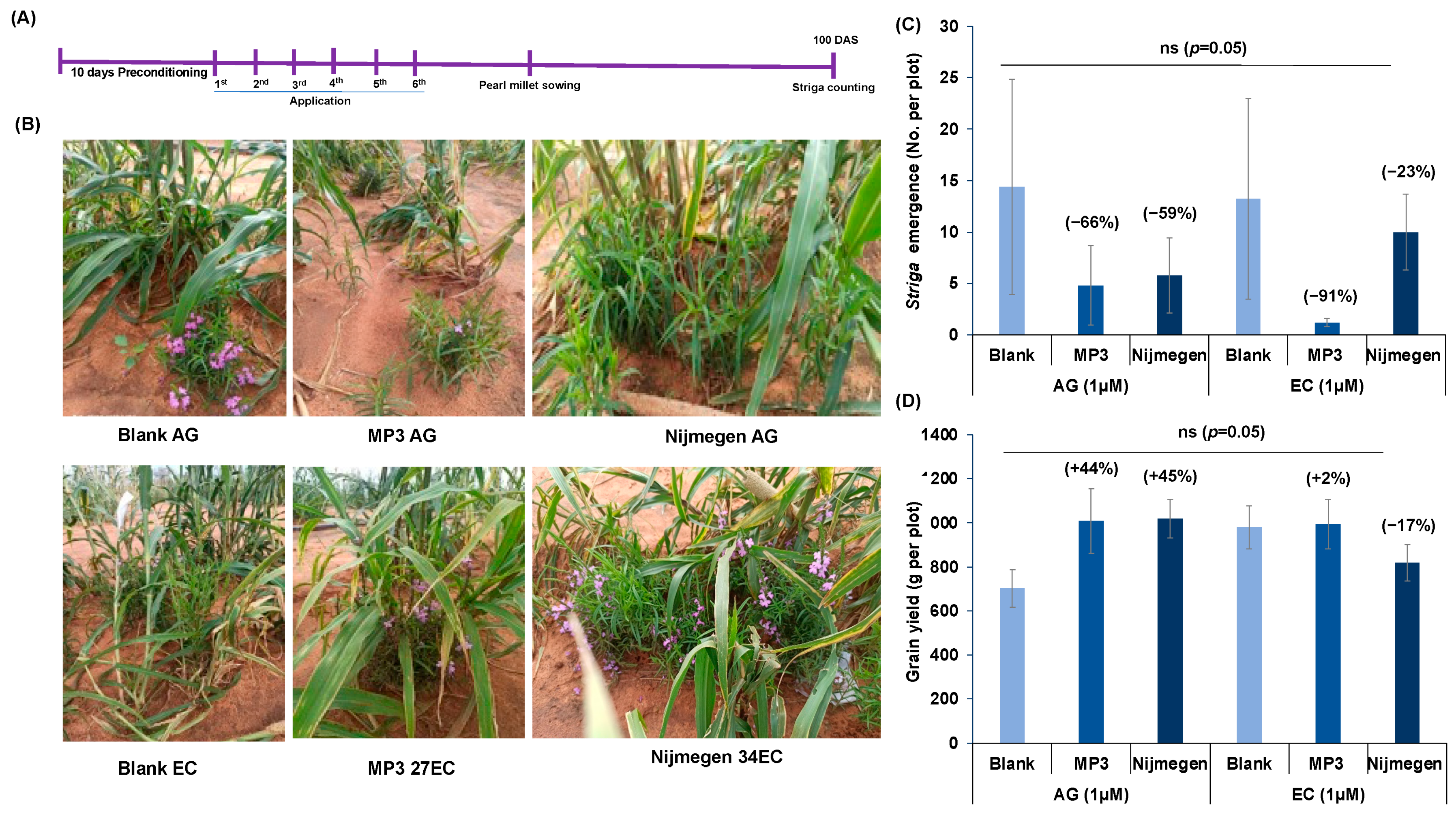 Plants 11 00808 g009