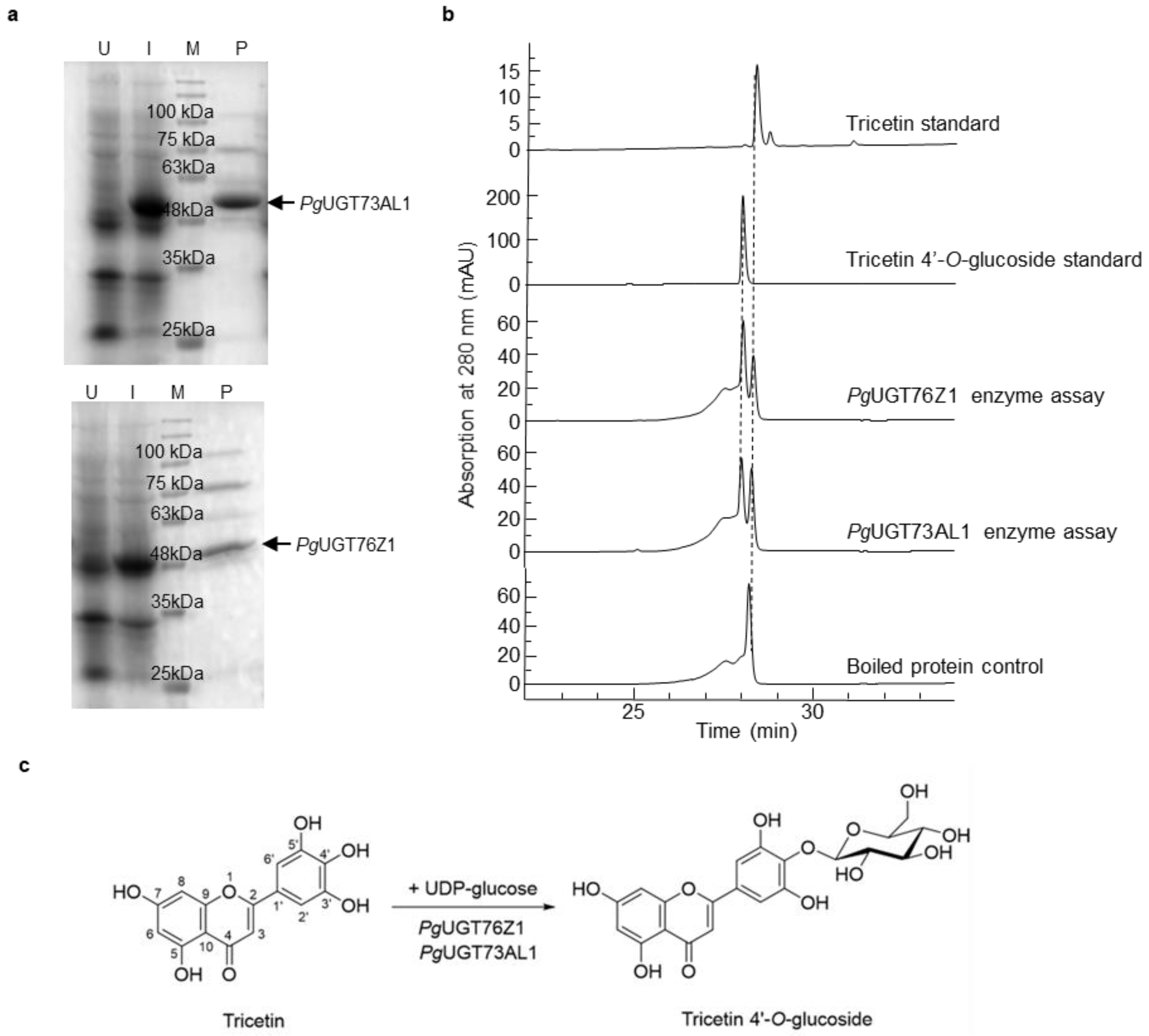 Plants 11 00810 g002 550