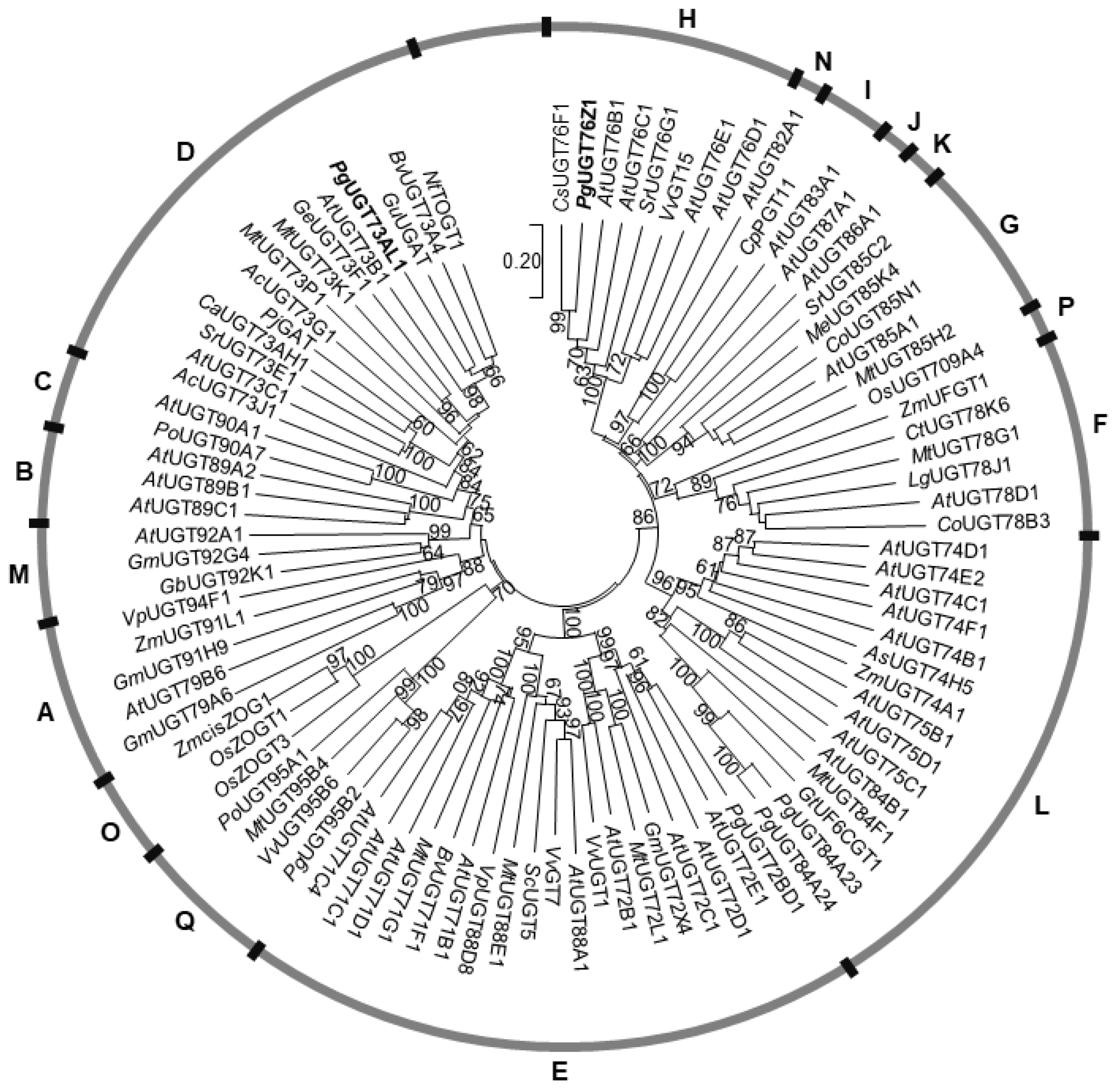 Plants 11 00810 g003 550