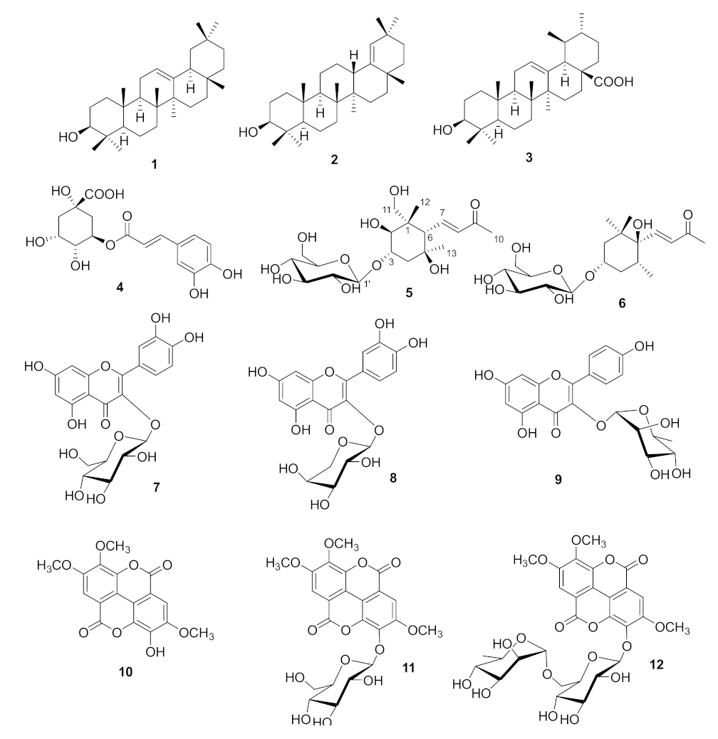 Plants 11 00811 g001 550