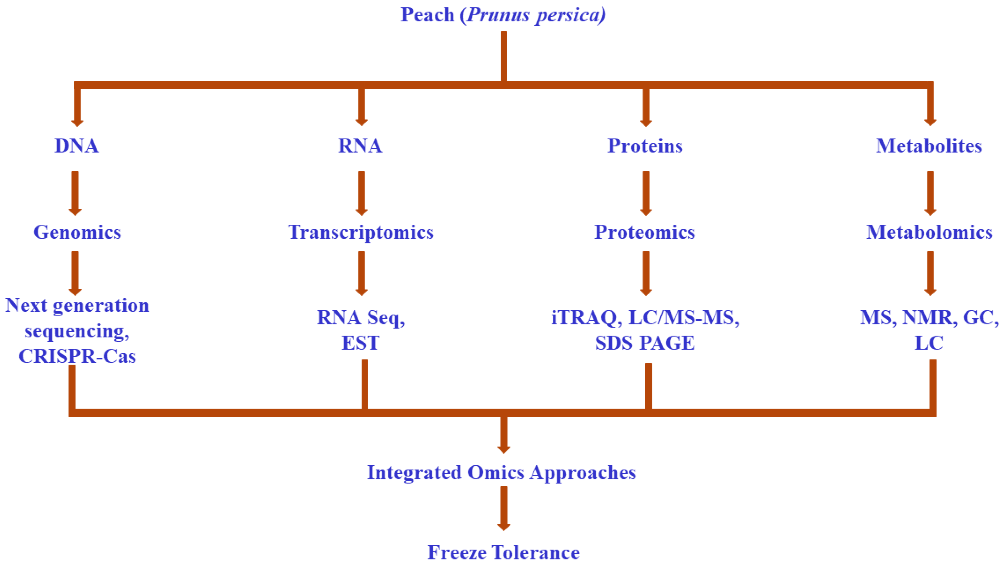 Plants 11 00812 g001