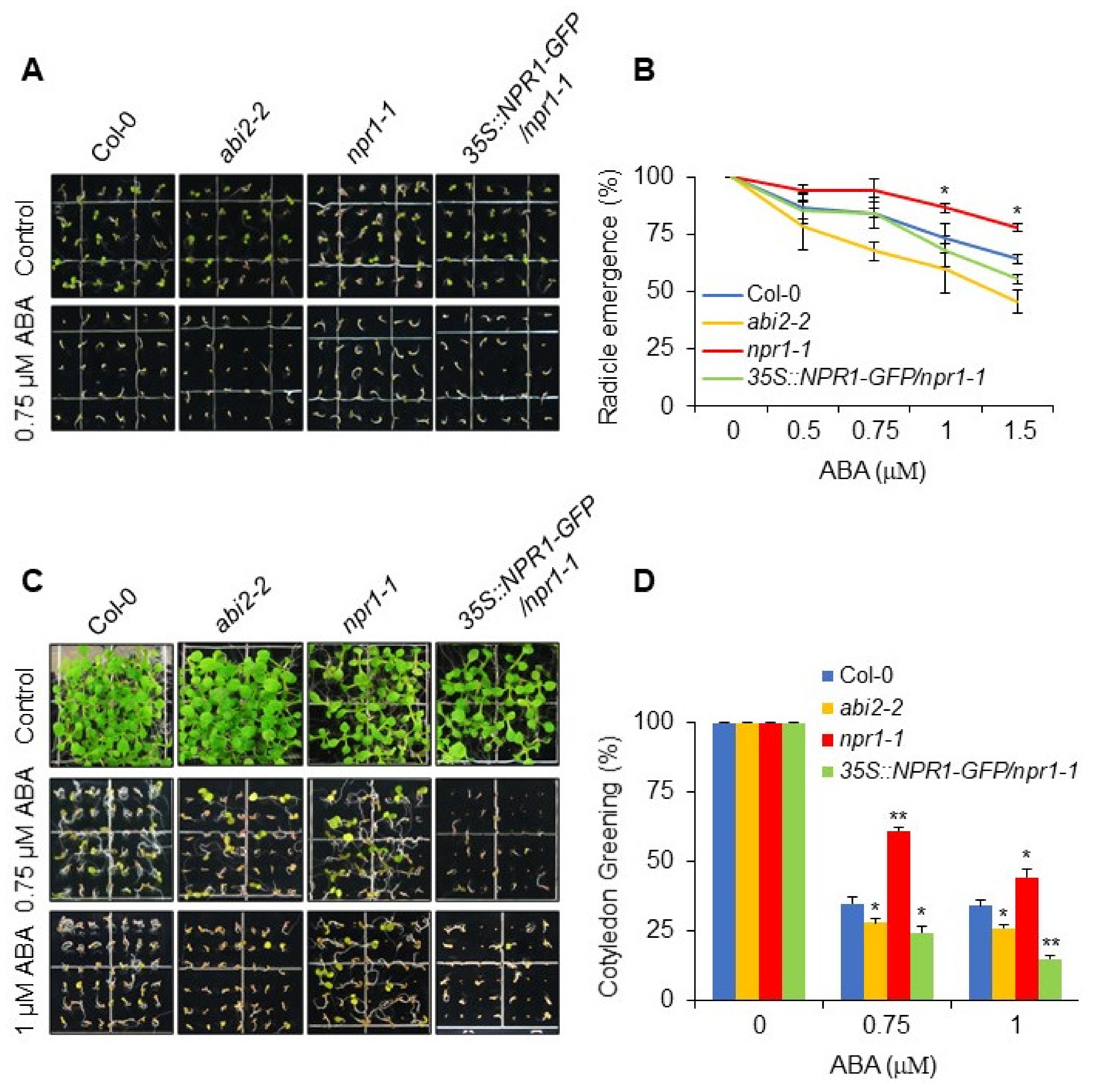 Plants 11 00815 g001 550