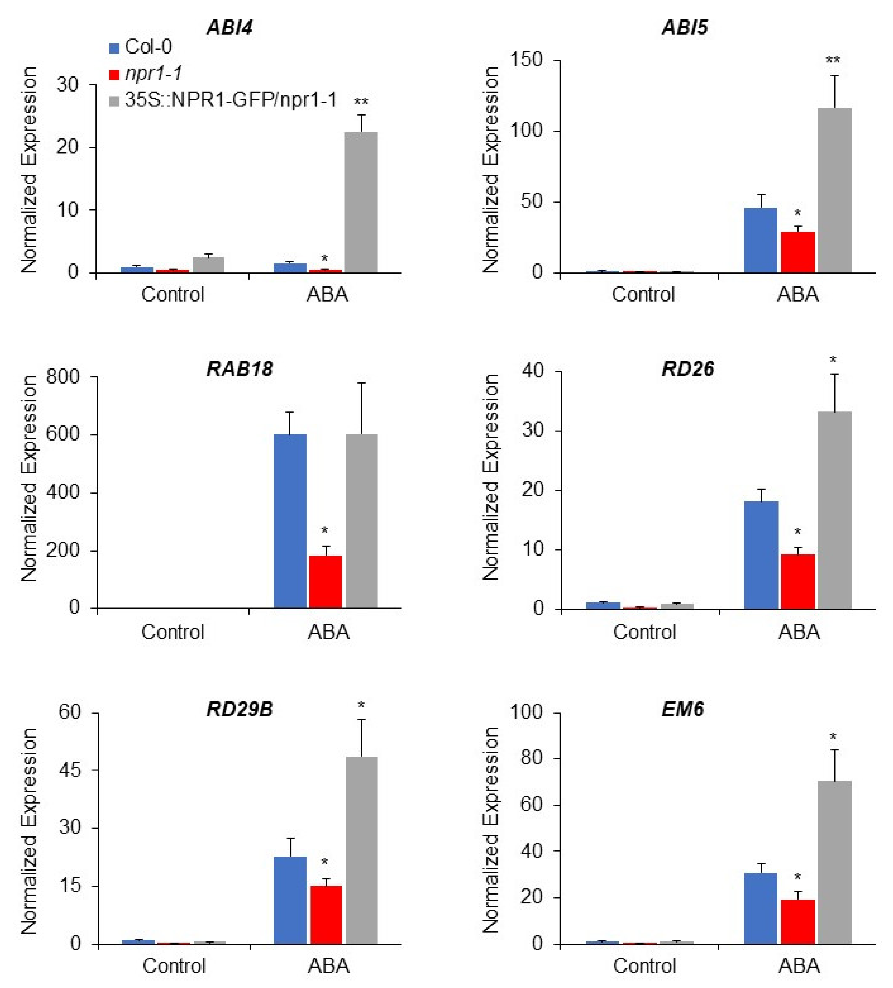 Plants 11 00815 g002 550