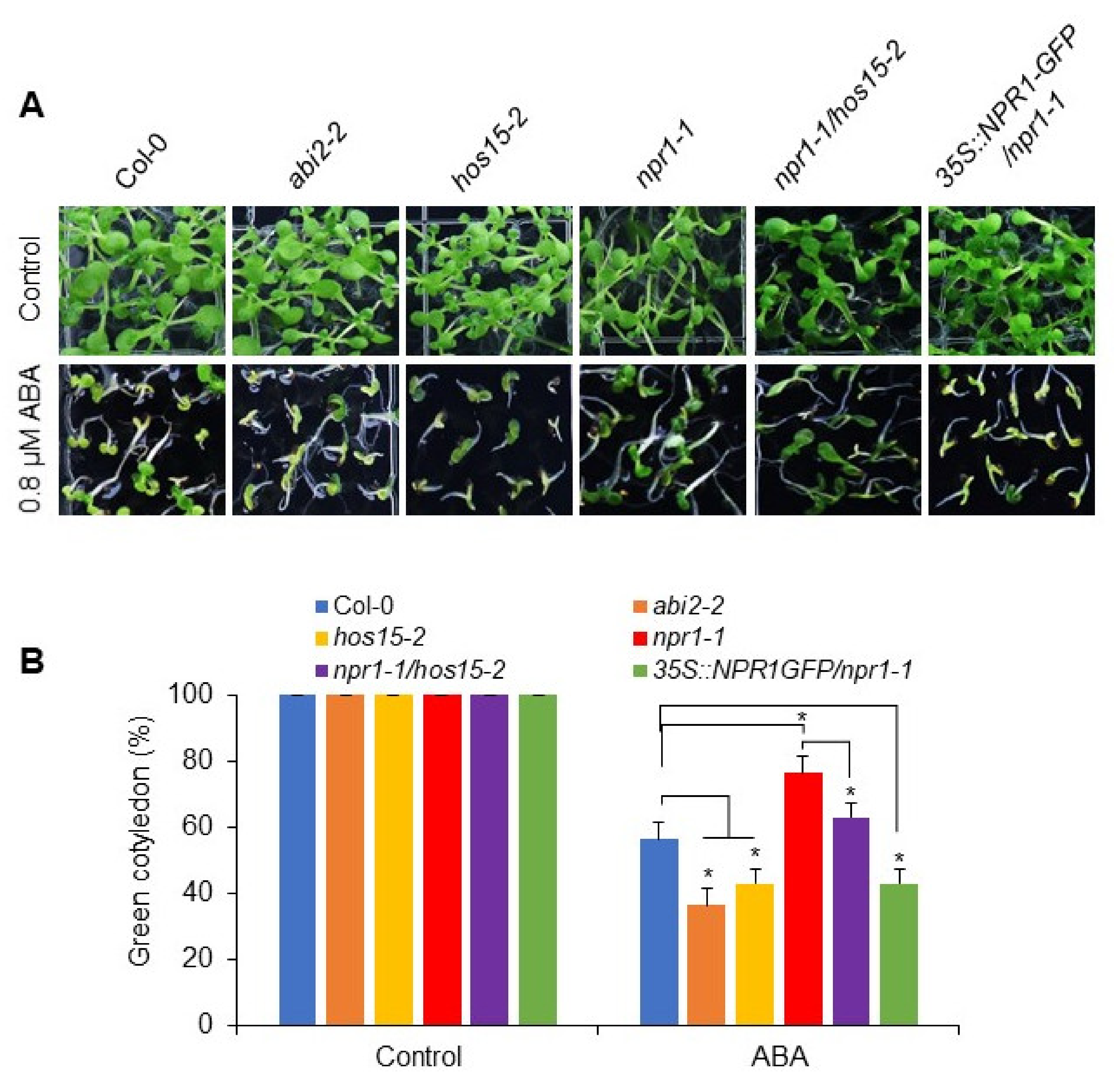 Plants 11 00815 g004 550