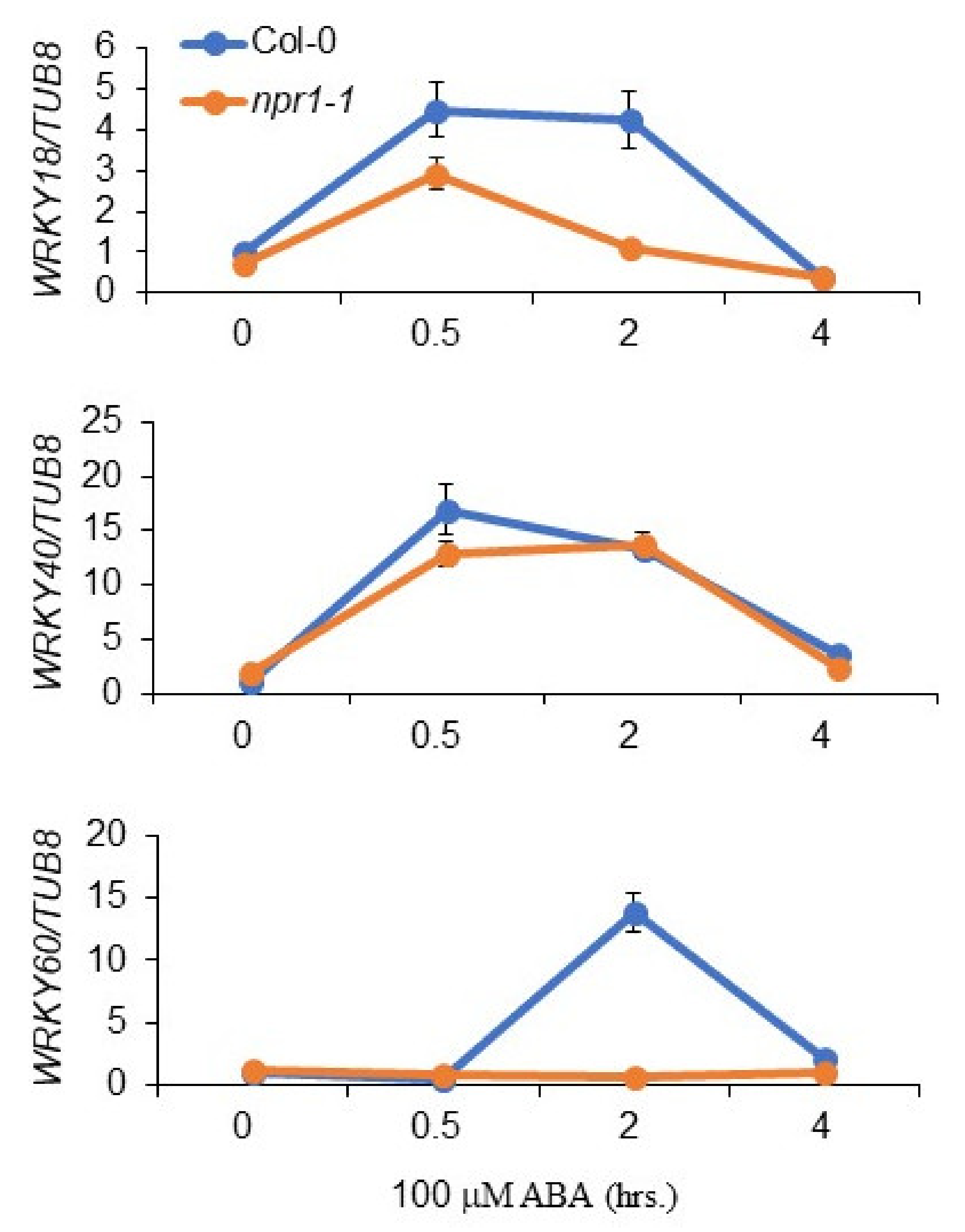 Plants 11 00815 g005 550