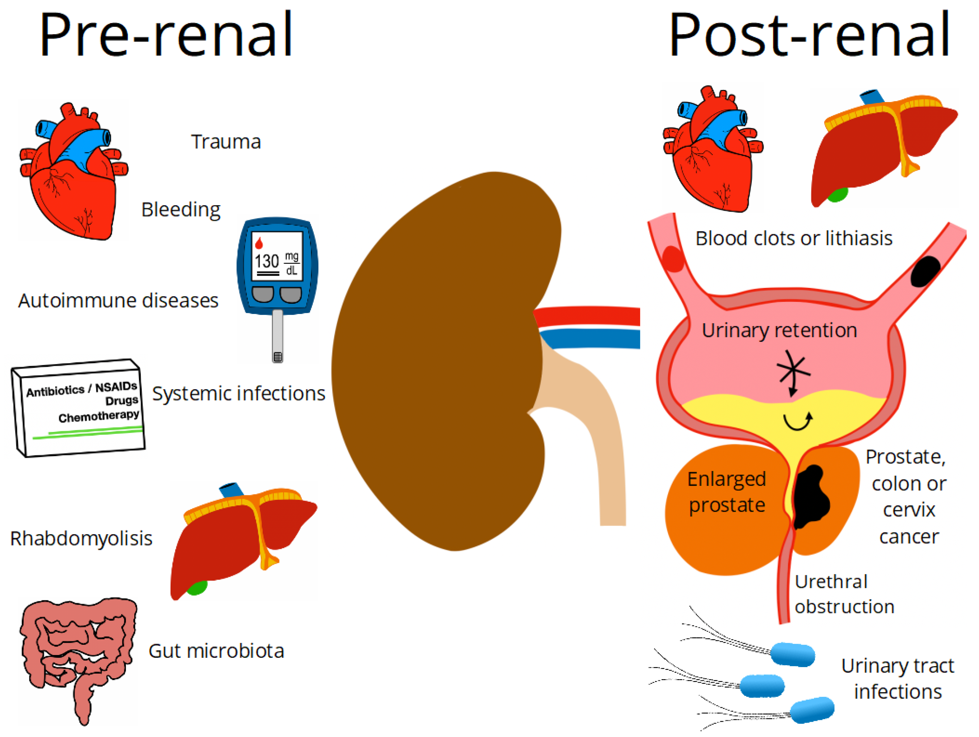 Nephrology Clipart Of Flowers