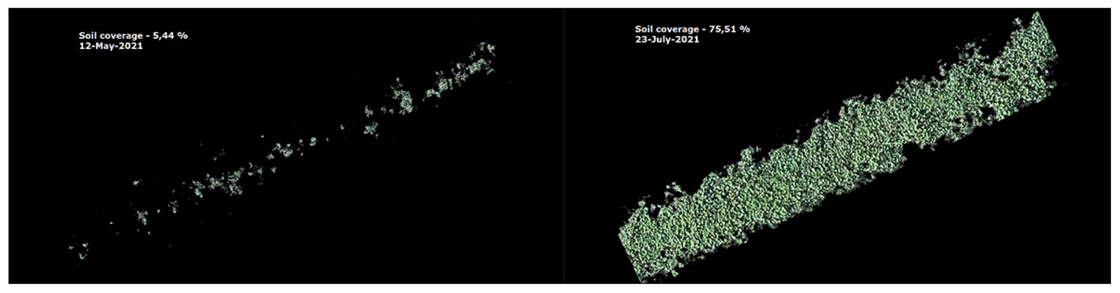 Plants 11 00819 g006 550