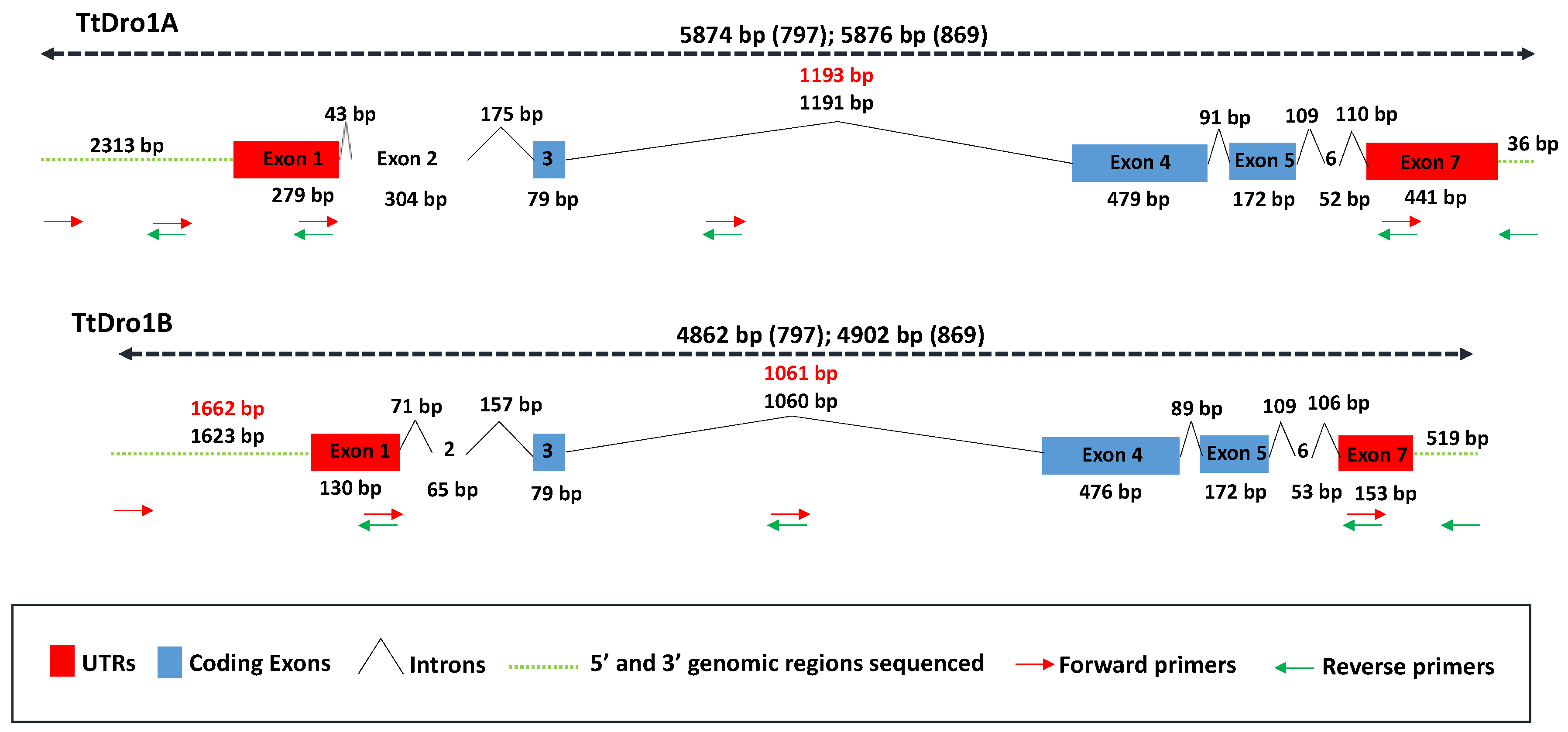 Plants 11 00821 g004 Plants 11 00821 g004