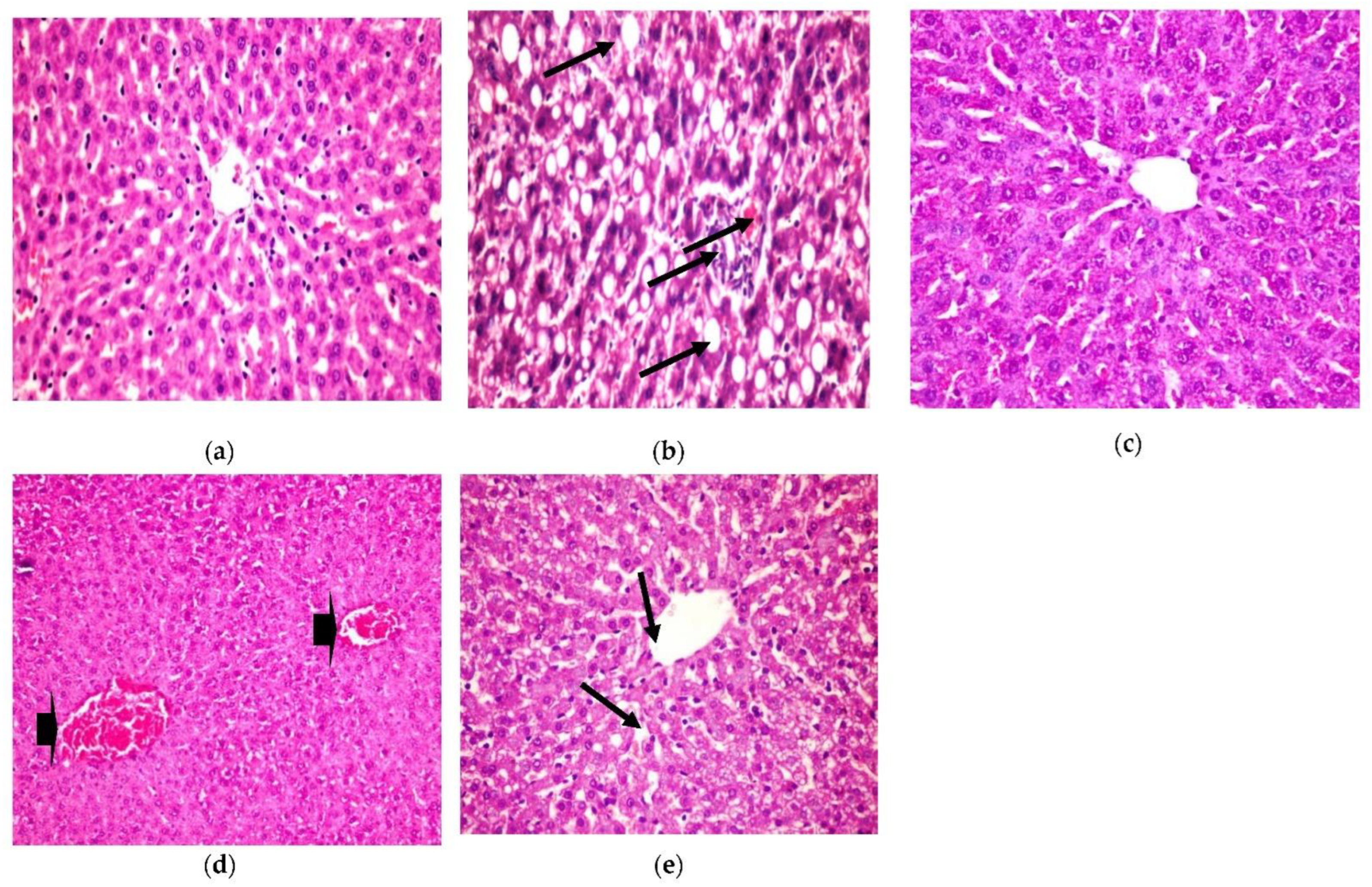Plants 11 00830 g005 550