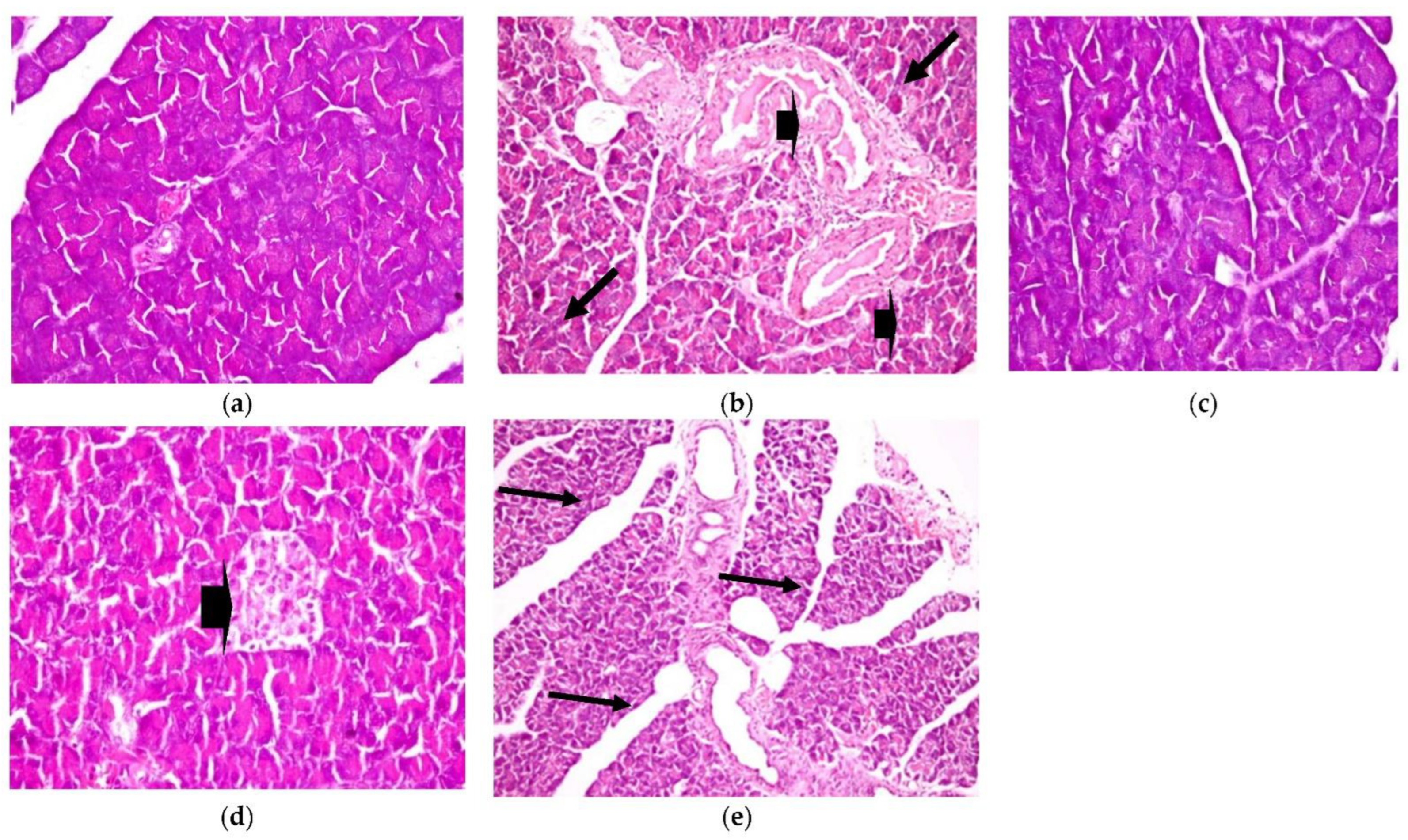 Plants 11 00830 g006 550