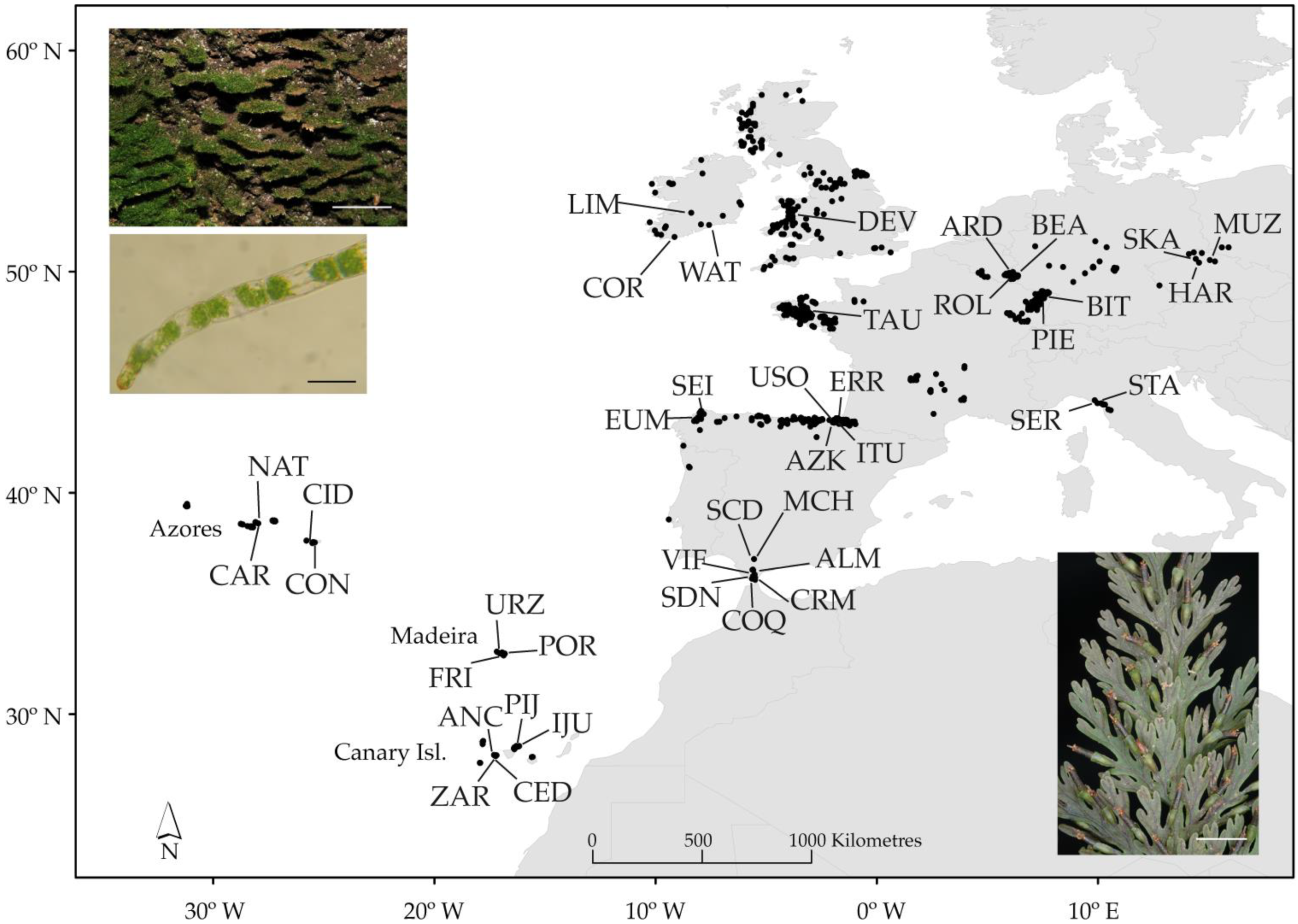 Plants 11 00839 g001