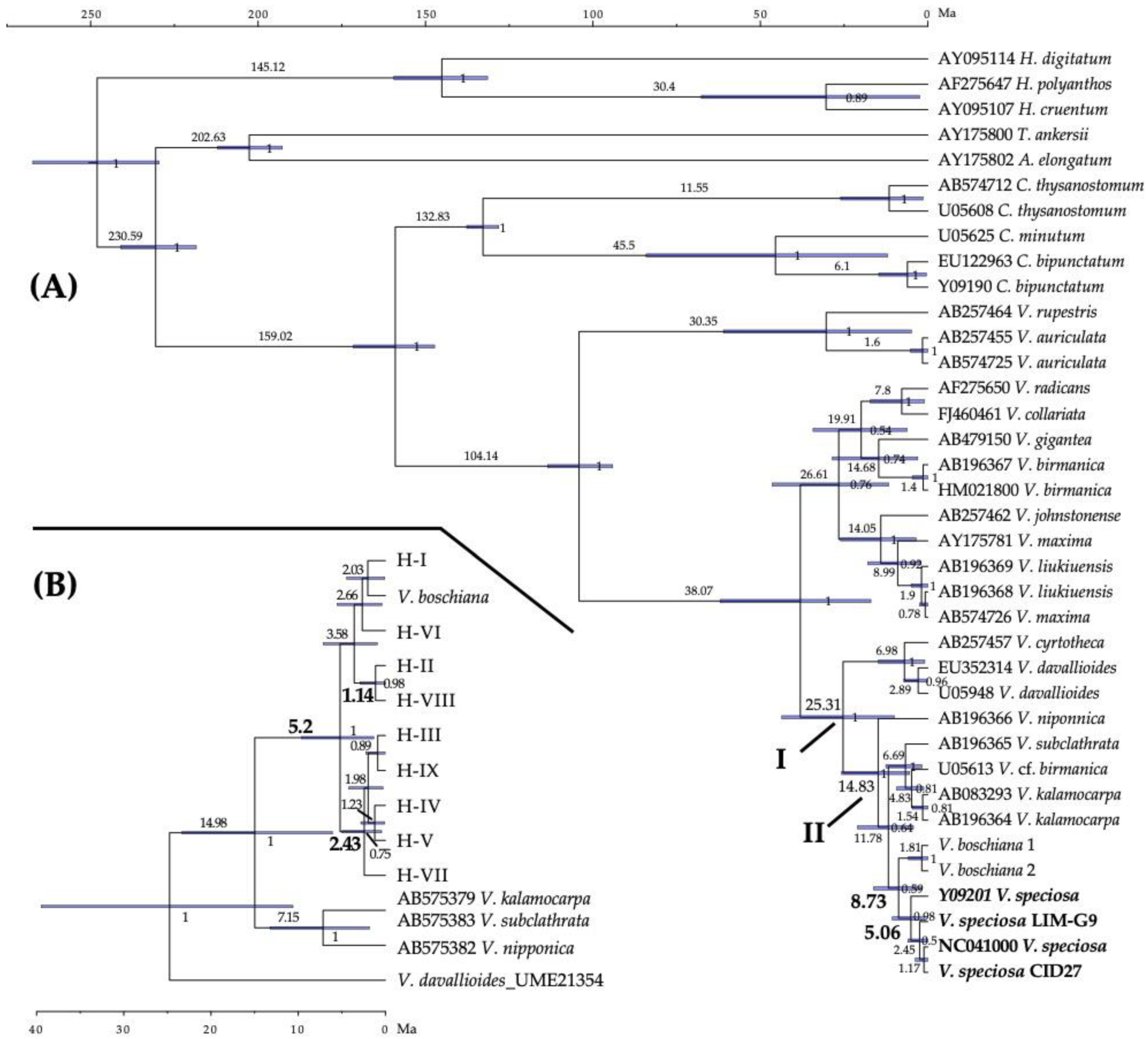 Plants 11 00839 g003
