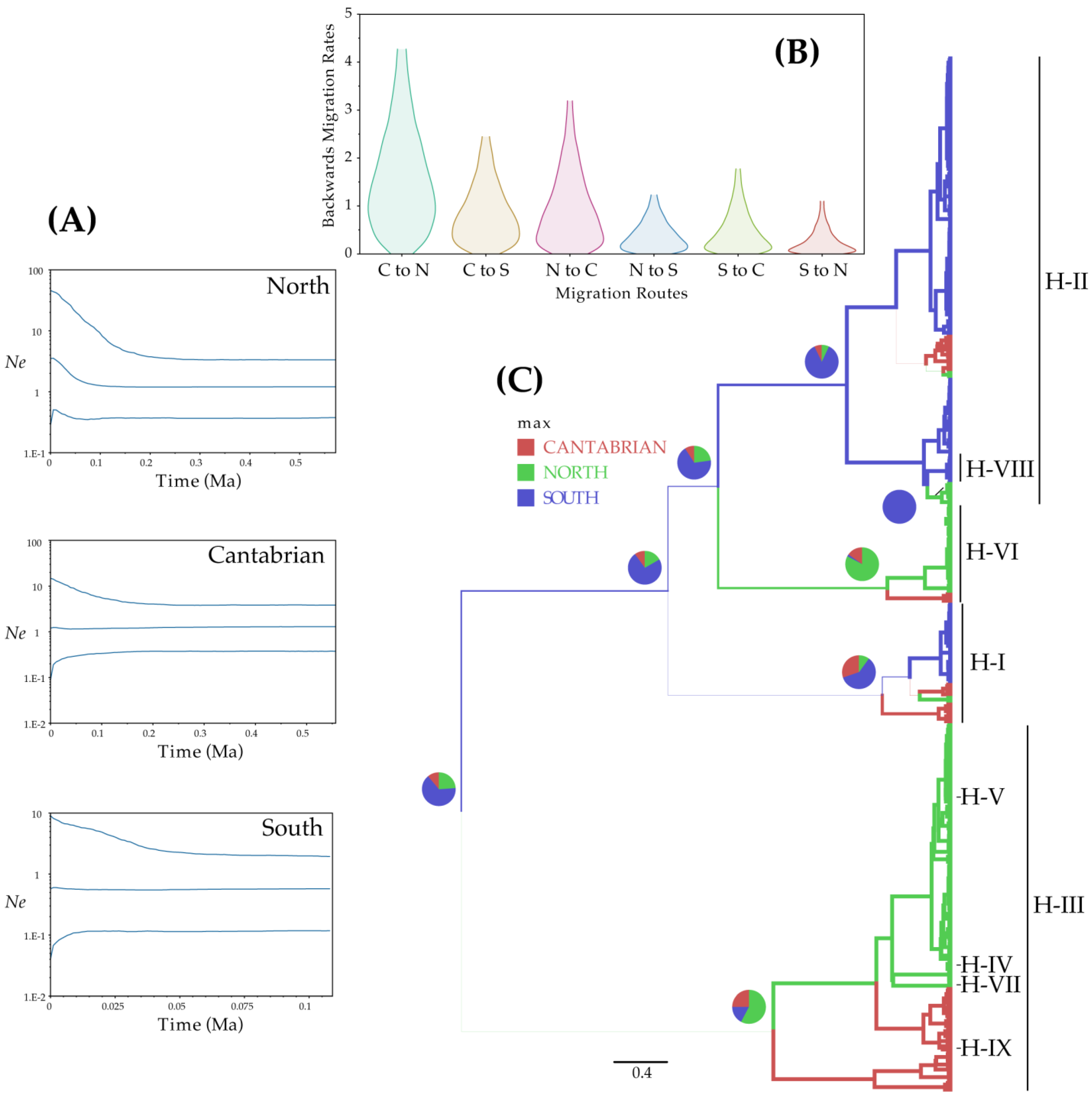 Plants 11 00839 g004