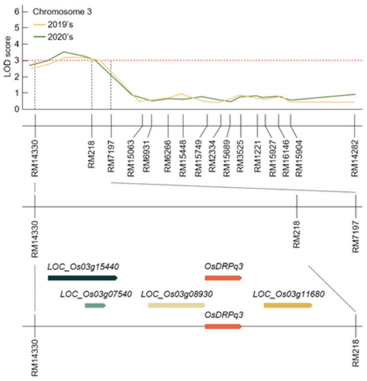 Phenotype and Genotype Interaction Underlying Distributive
