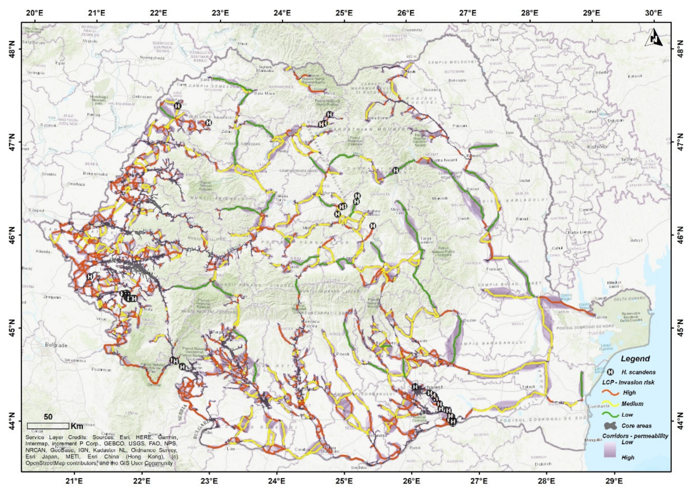 Plants 11 00857 g002