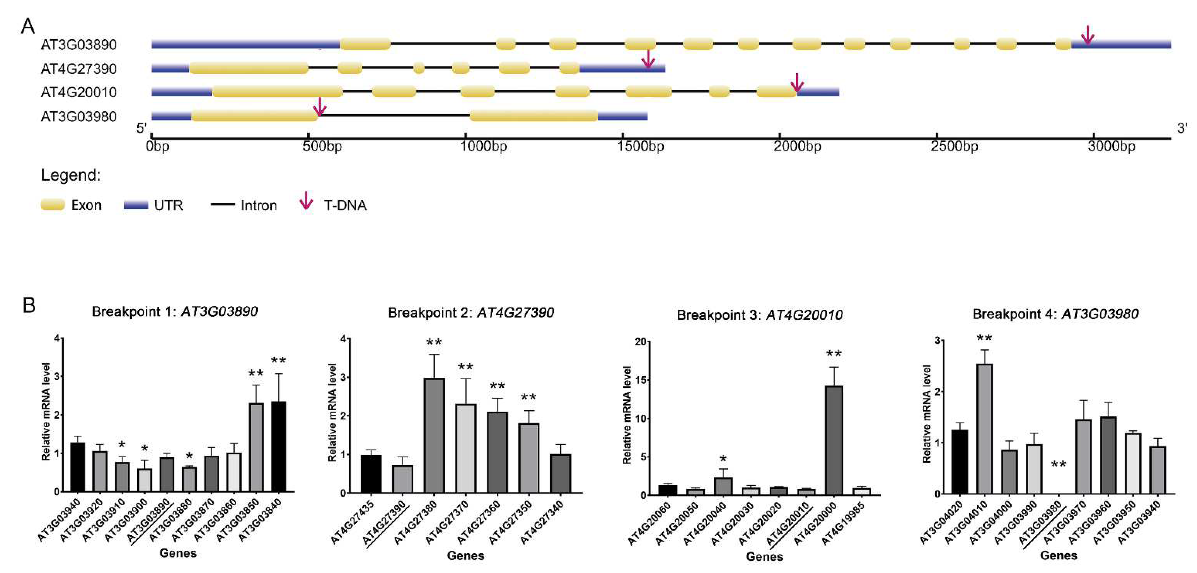 Plants 11 00858 g001