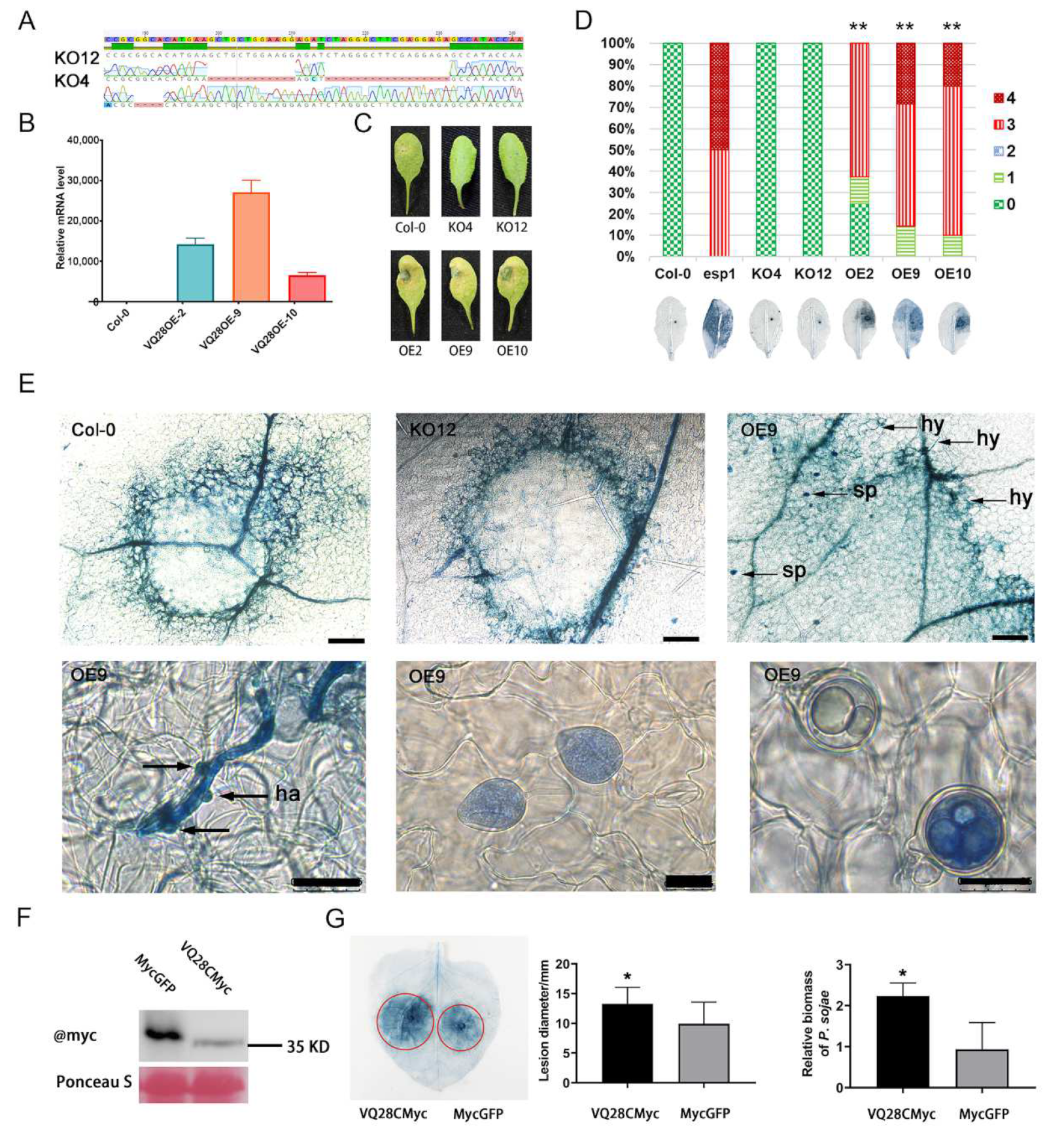 Plants 11 00858 g002