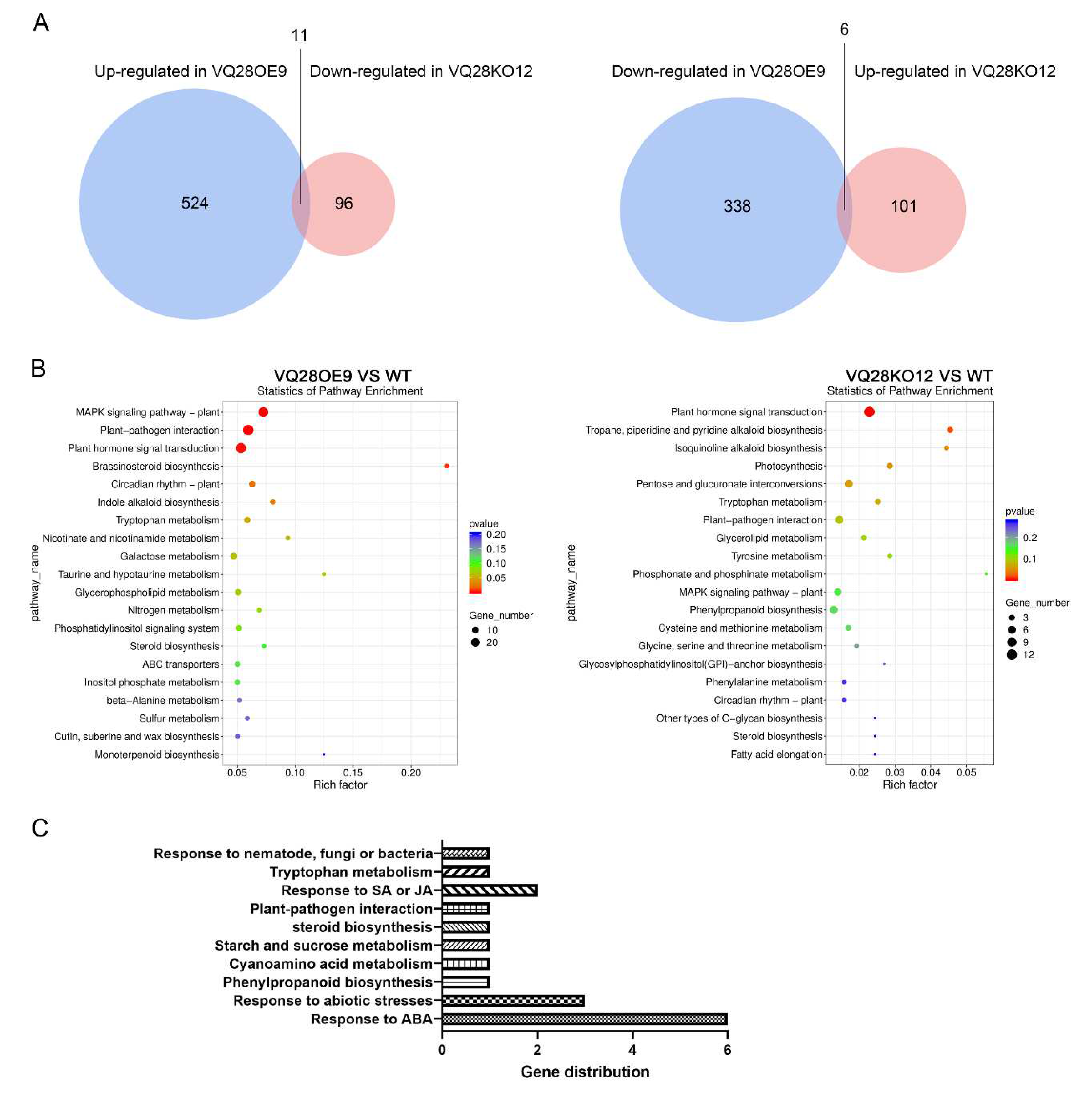 Plants 11 00858 g004