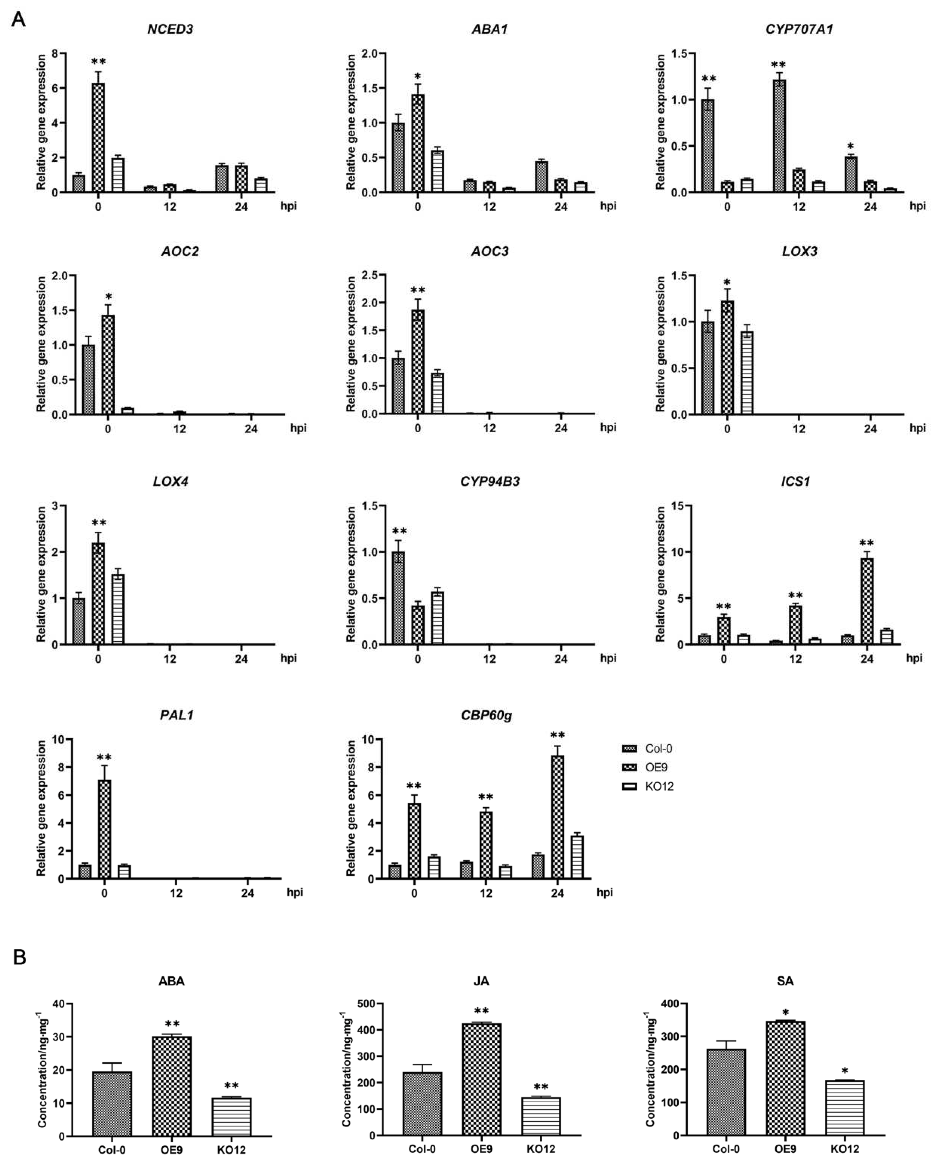 Plants 11 00858 g005