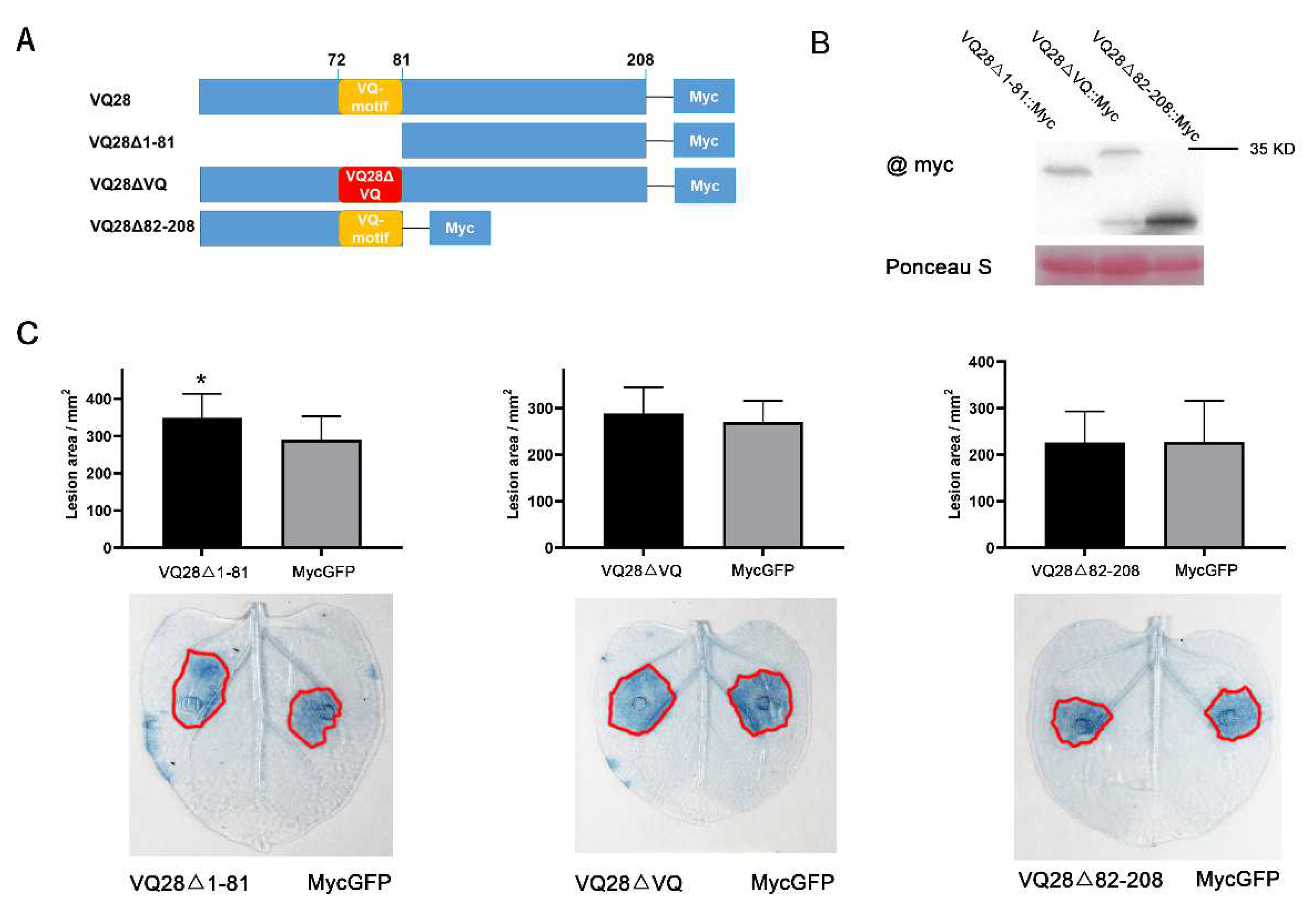 Plants 11 00858 g006