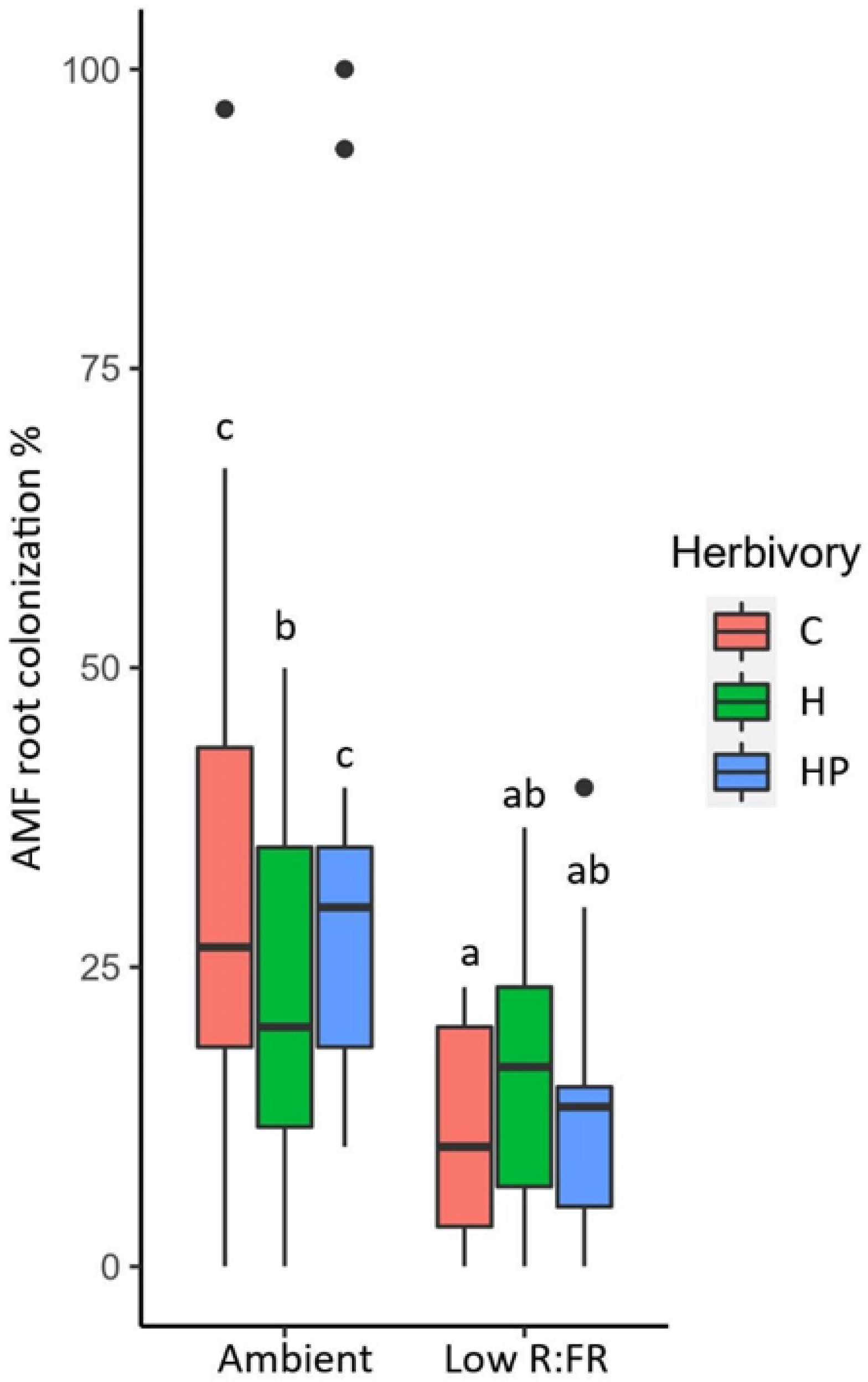 Plants 11 00861 g001 Plants 11 00861 g001