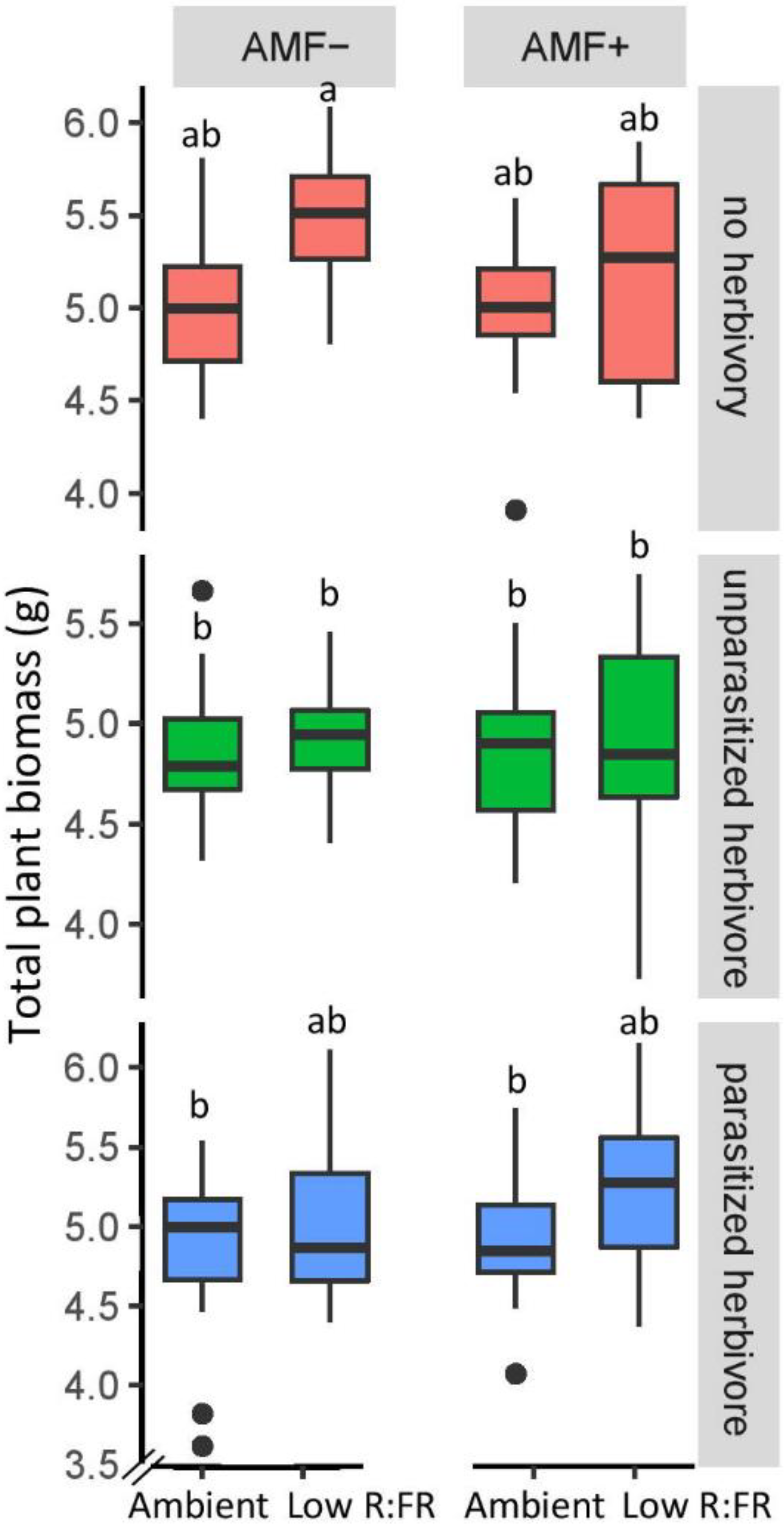 Plants 11 00861 g003 Plants 11 00861 g003