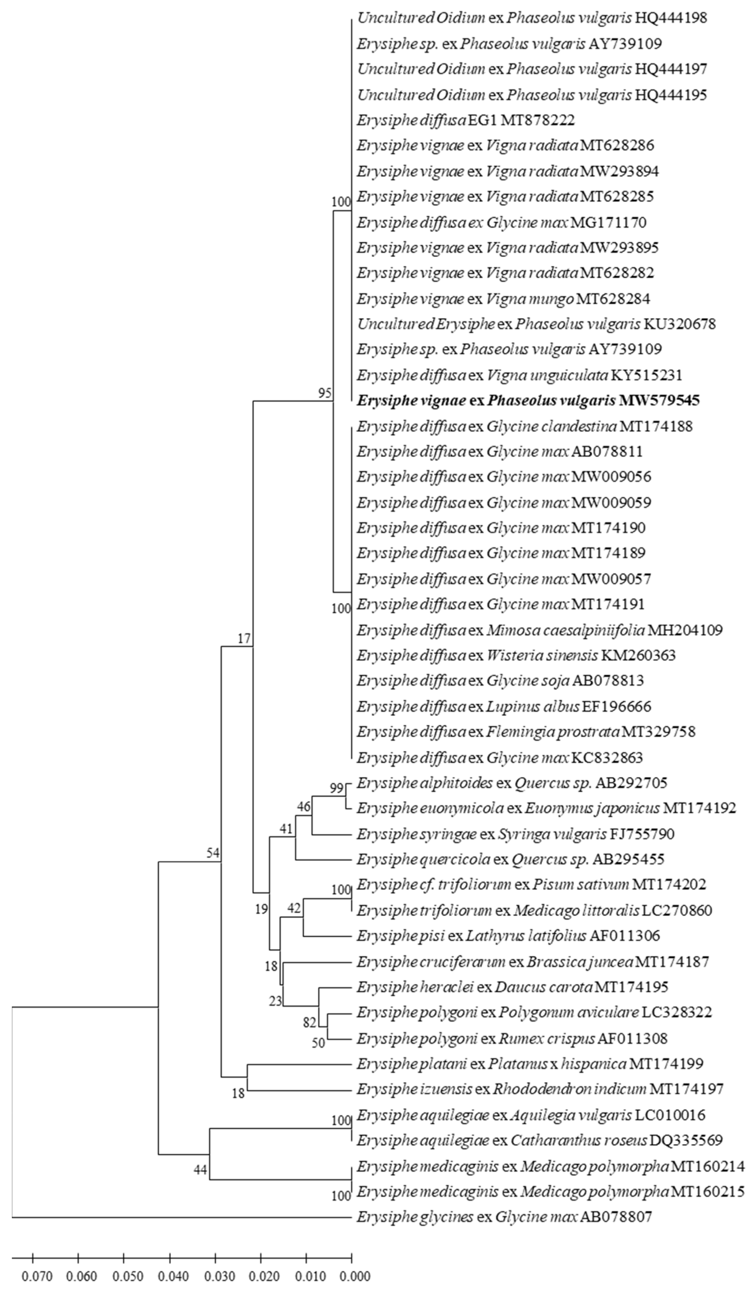 Plants 11 00874 g003