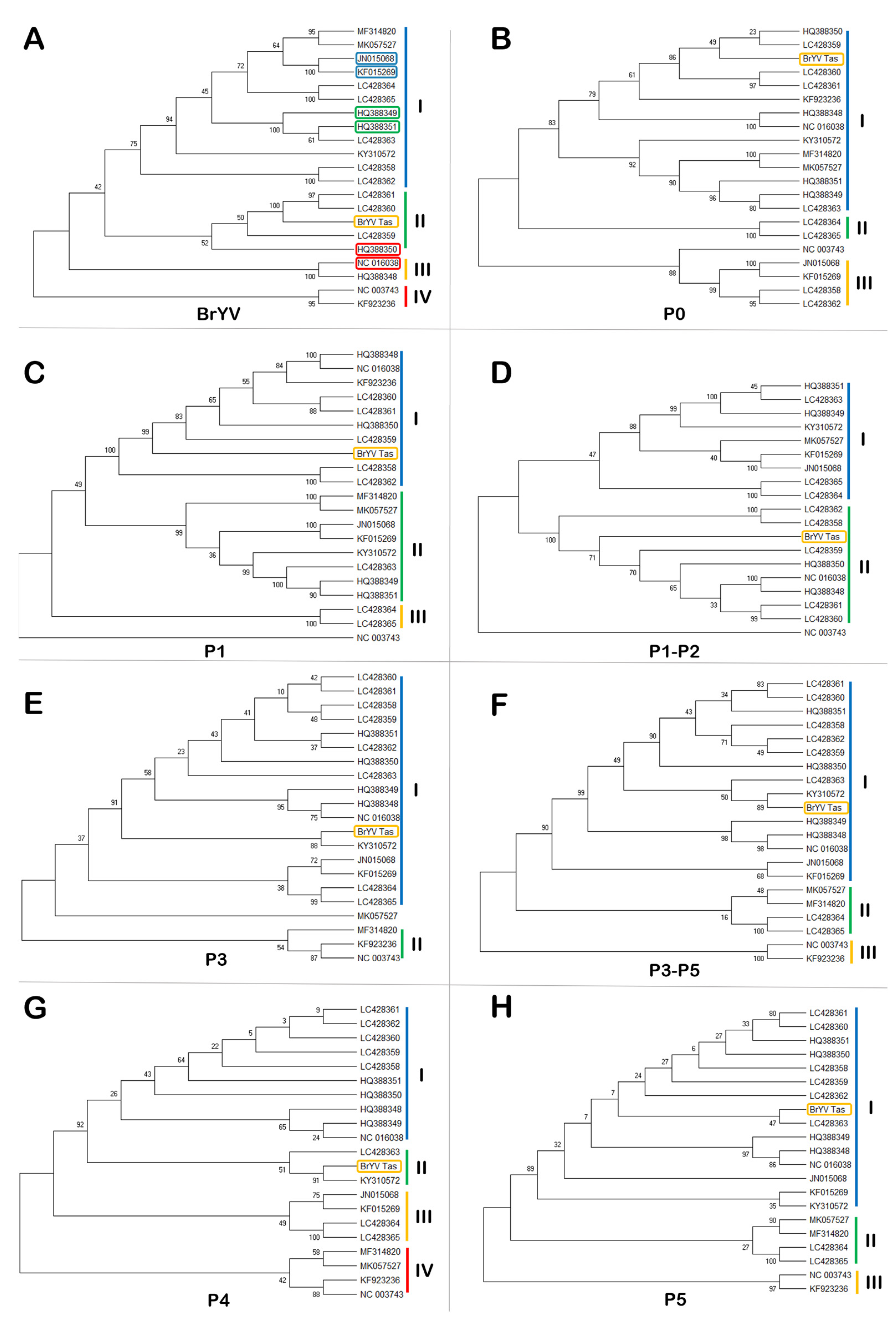 Plants 11 00884 g002 Plants 11 00884 g002