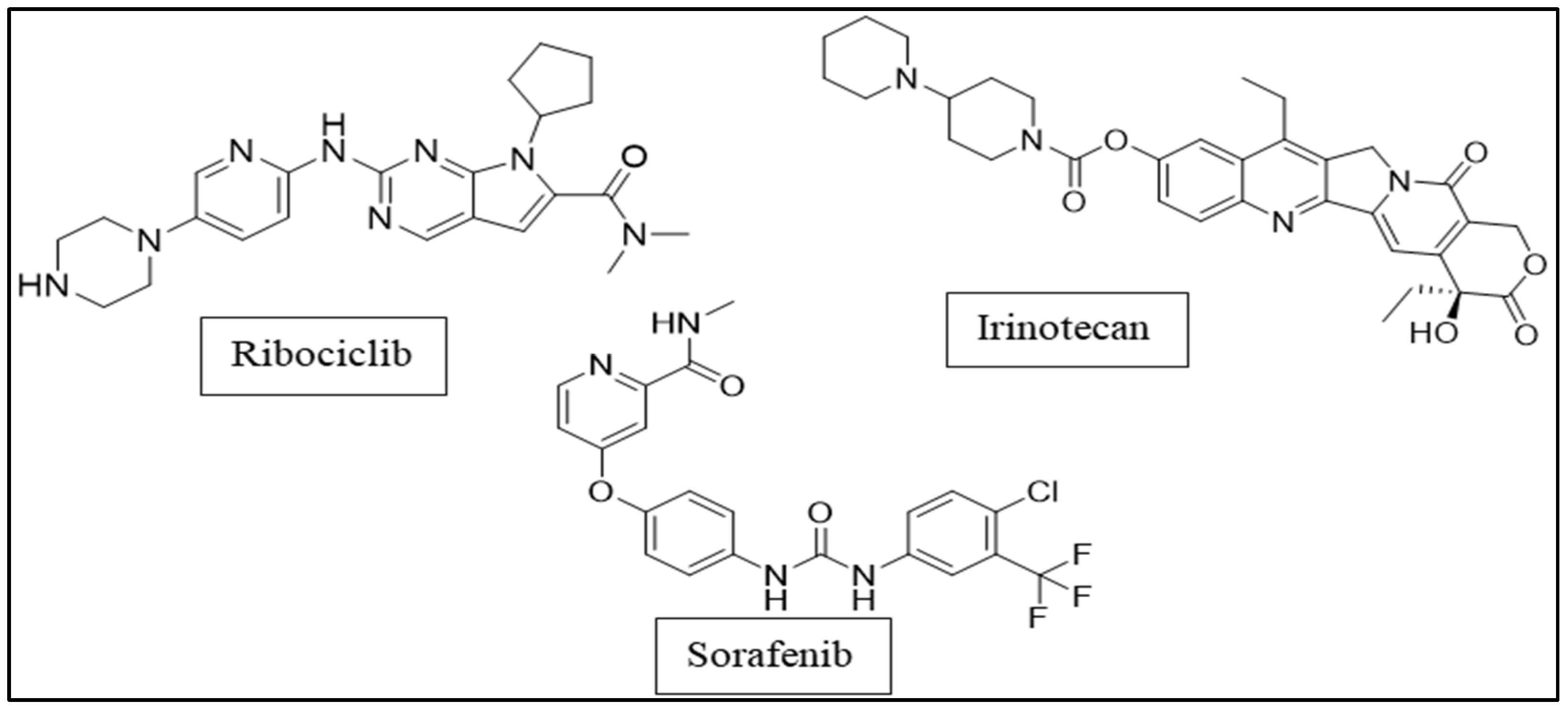 Plants 11 00888 g001