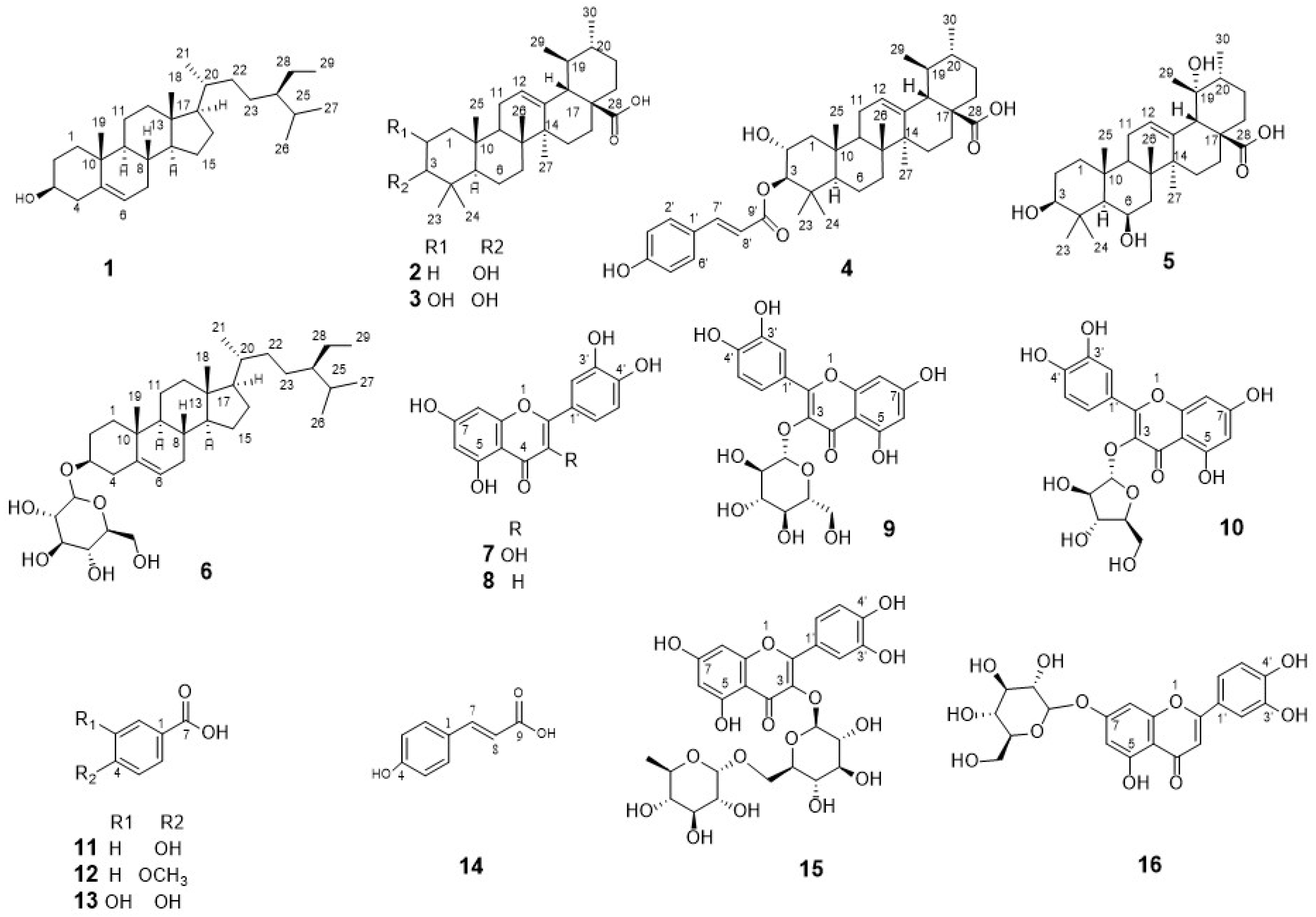 Plants 11 00888 g002