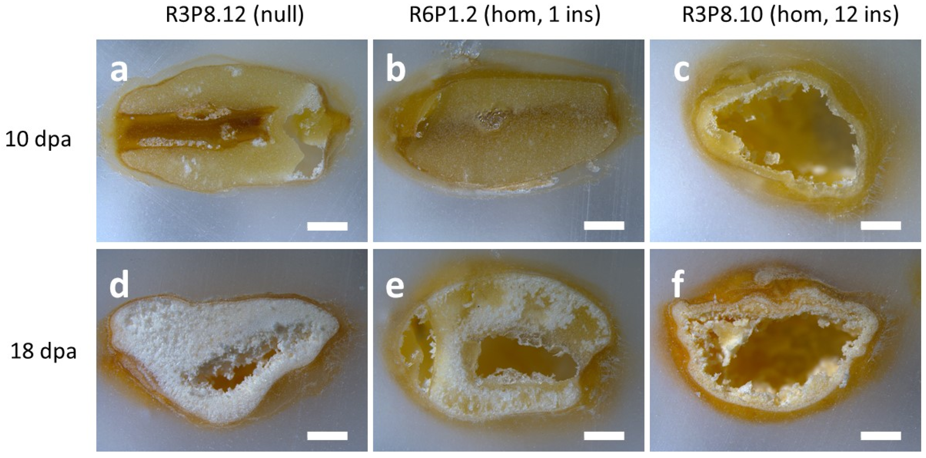Plants 11 00889 g006 550
