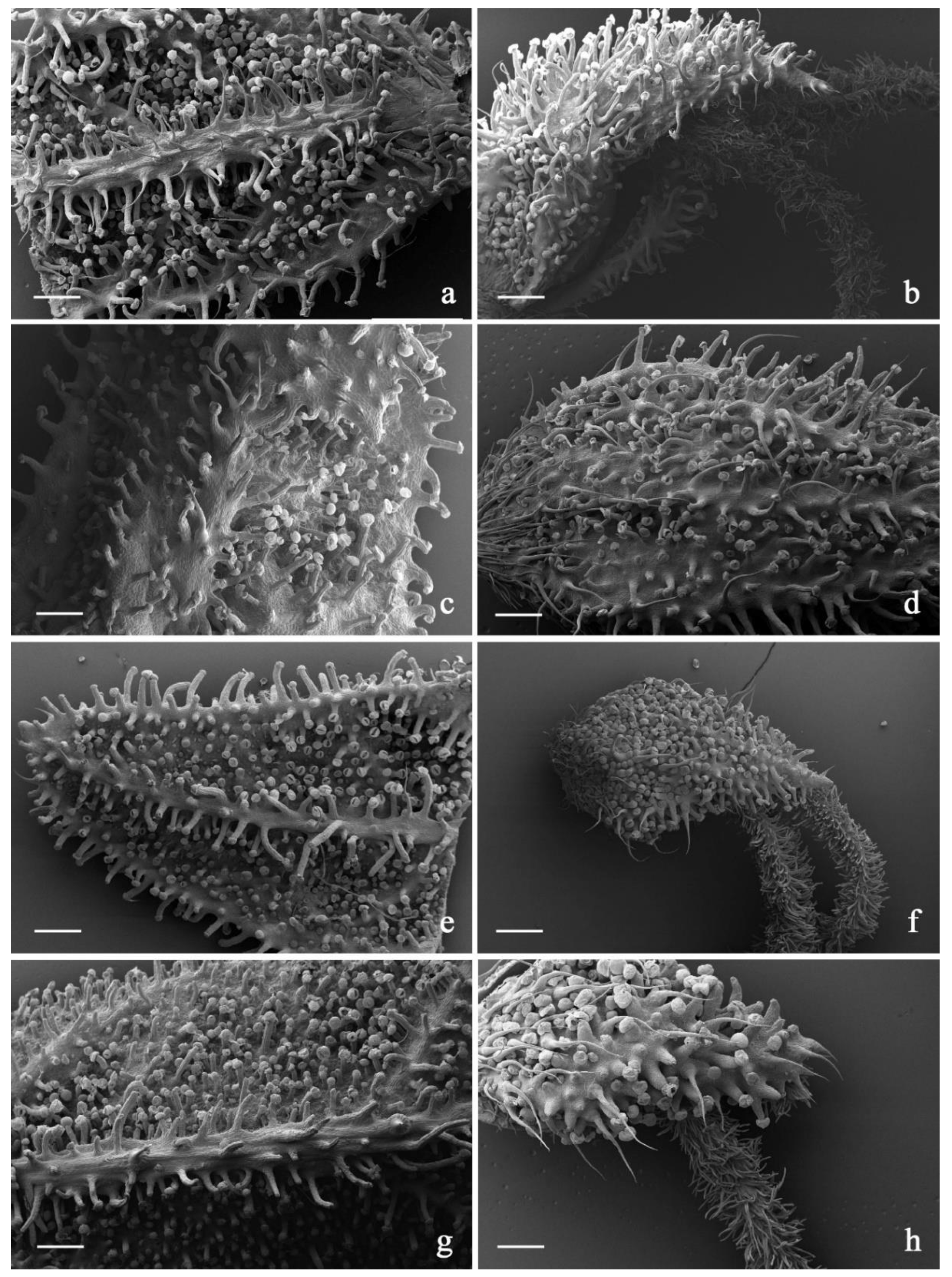 Plants 11 00891 g009 550