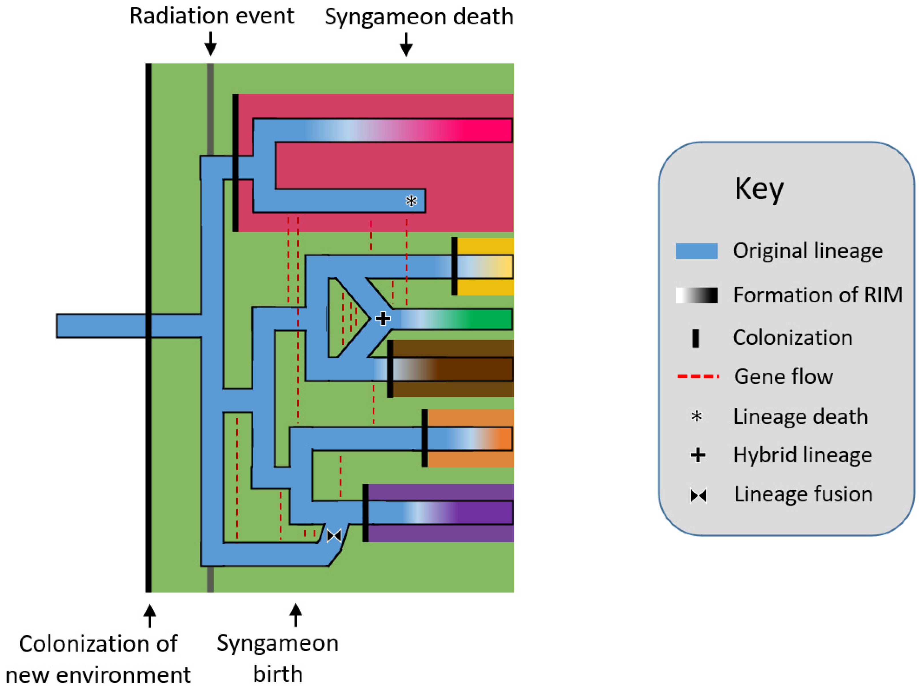 Plants 11 00895 g001