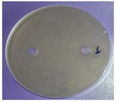 Plants 11 00896 i004