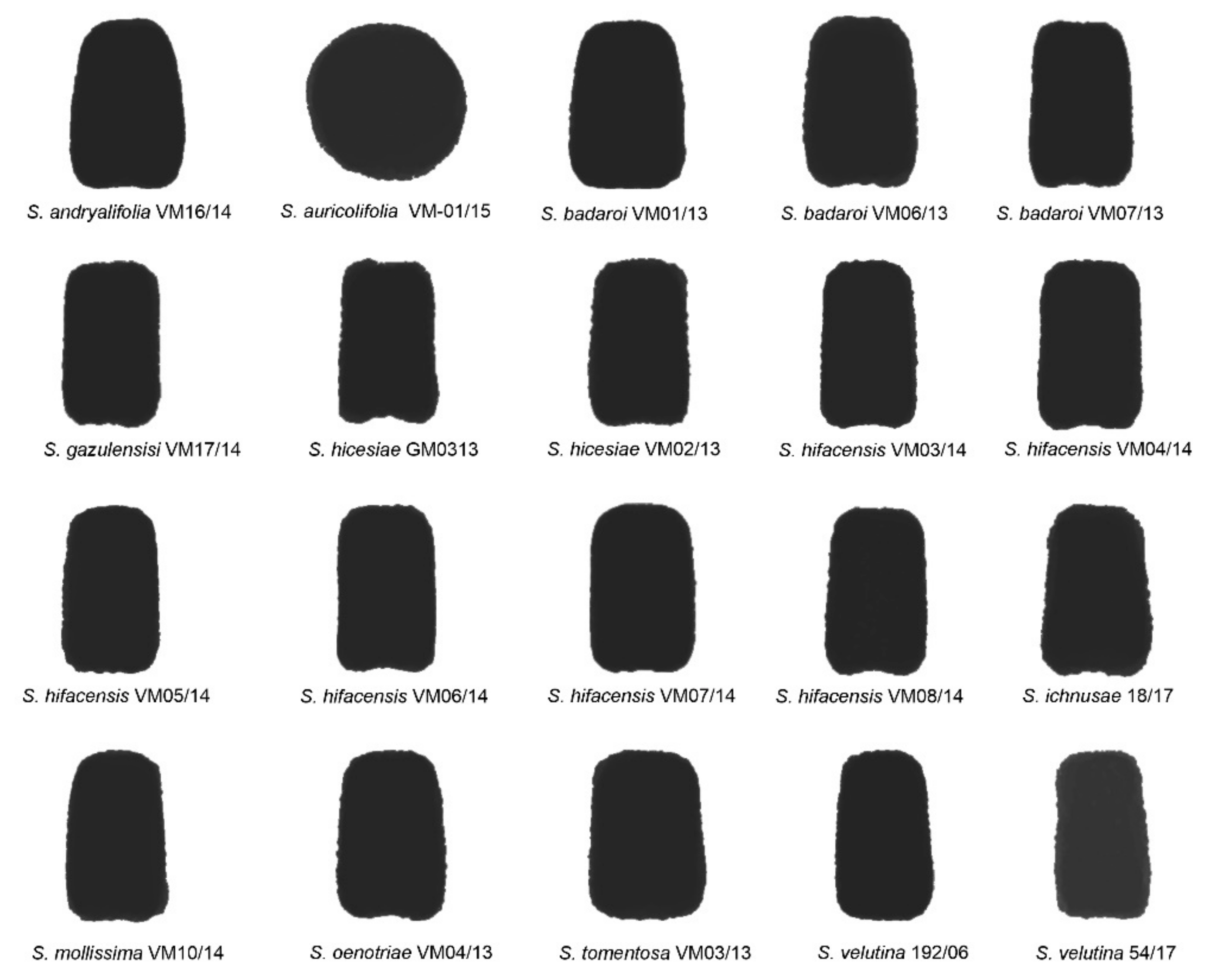 Plants 11 00901 g002