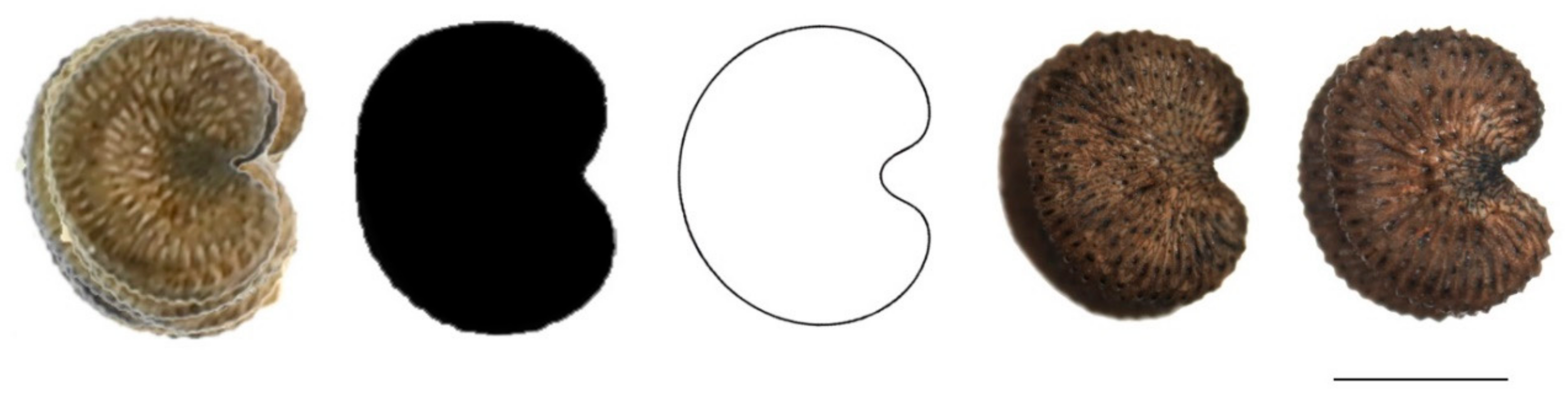 Plants 11 00901 g0a1