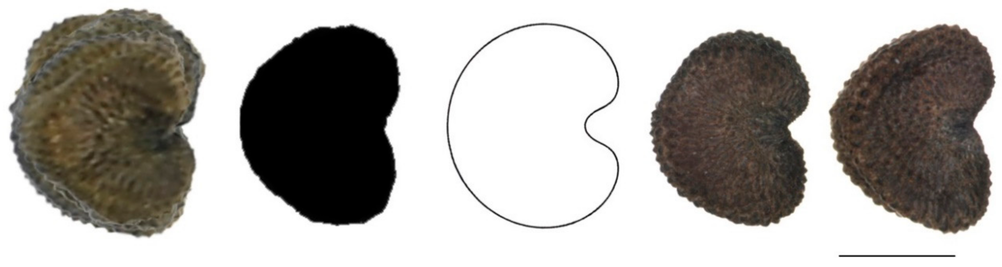 Plants 11 00901 g0a11