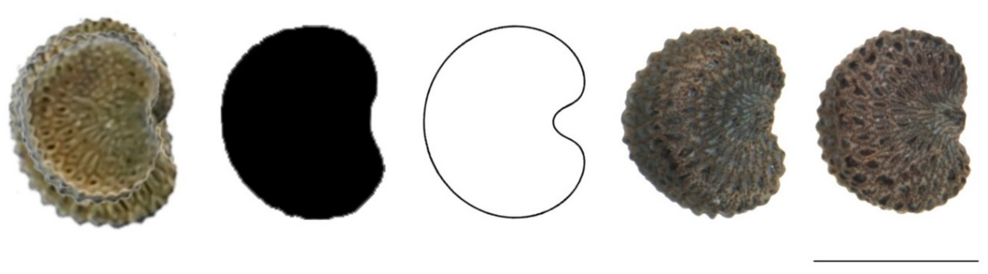 Plants 11 00901 g0a2