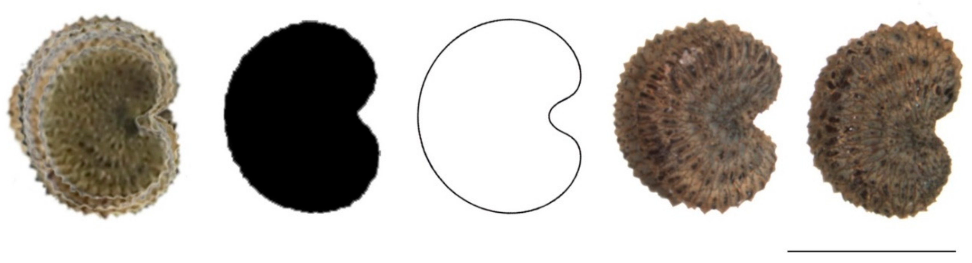 Plants 11 00901 g0a3