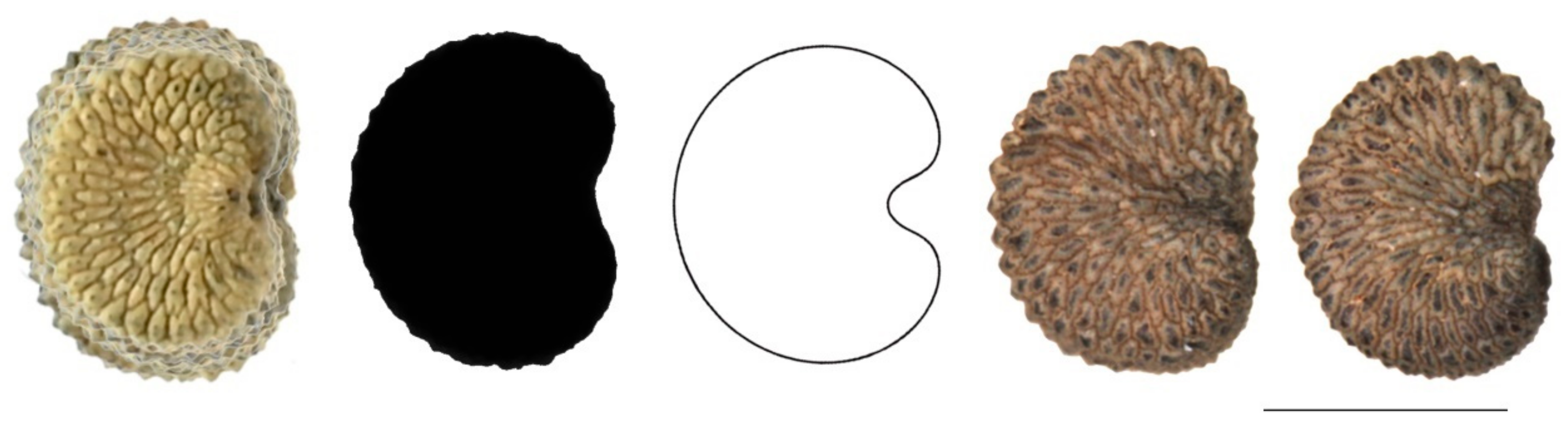 Plants 11 00901 g0a4