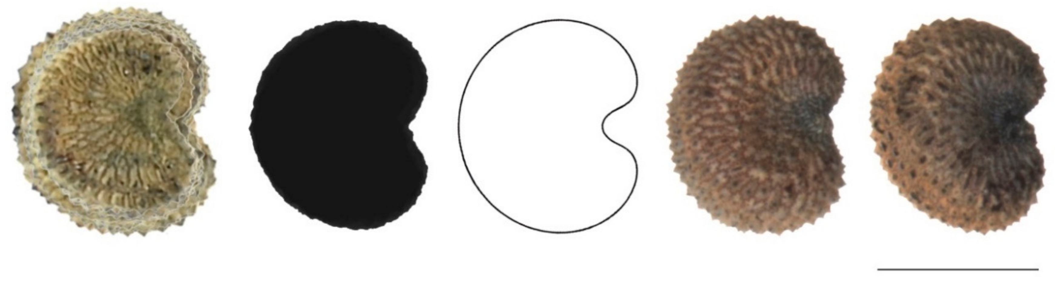 Plants 11 00901 g0a5