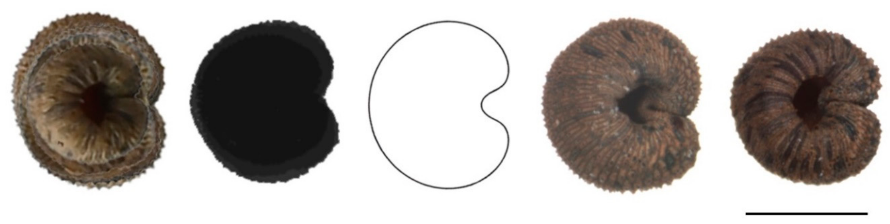 Plants 11 00901 g0a6