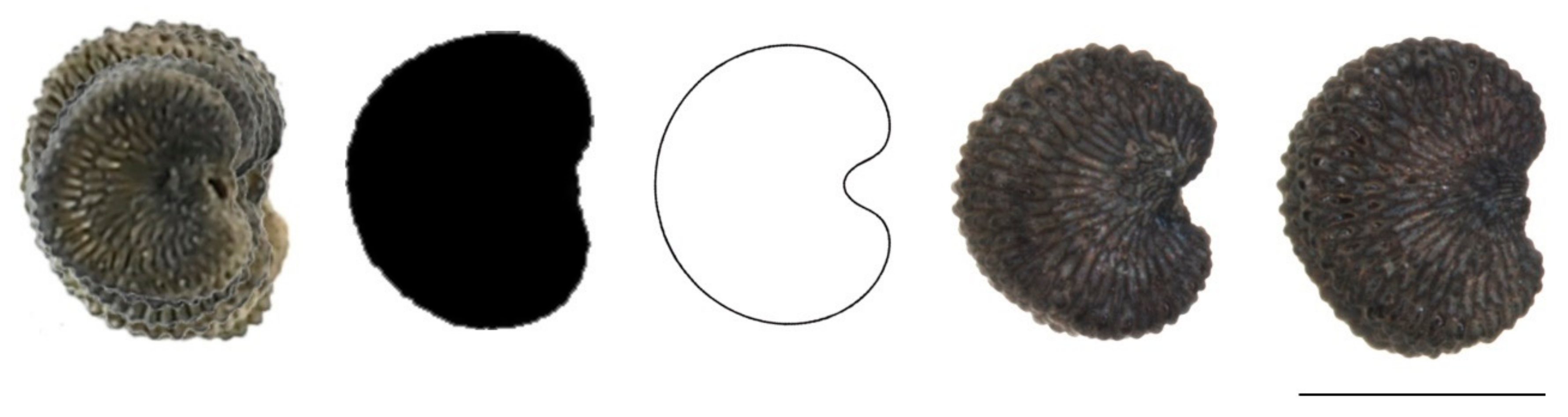 Plants 11 00901 g0a8