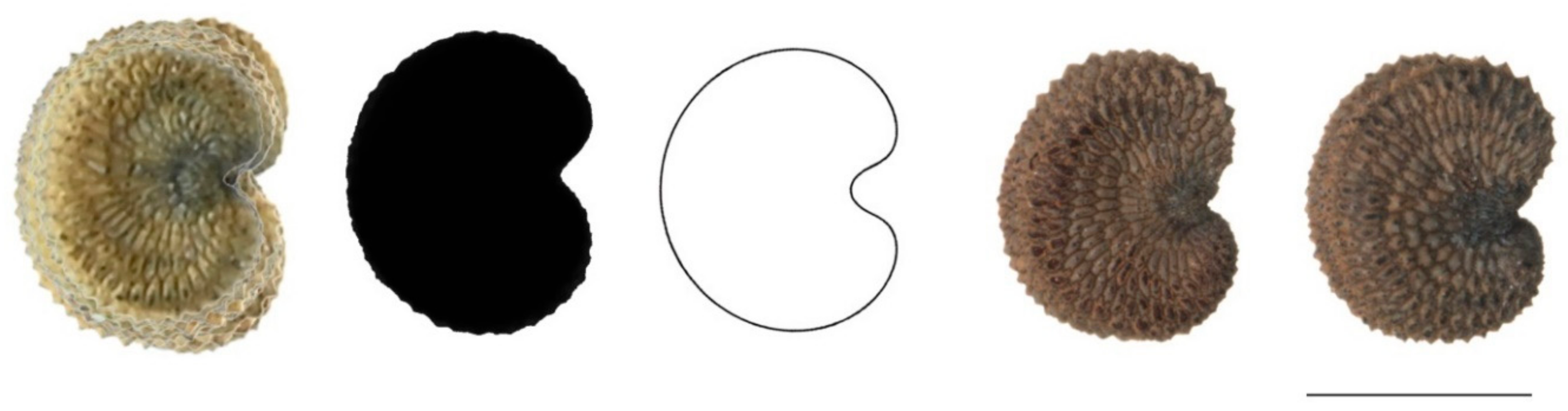 Plants 11 00901 g0a9