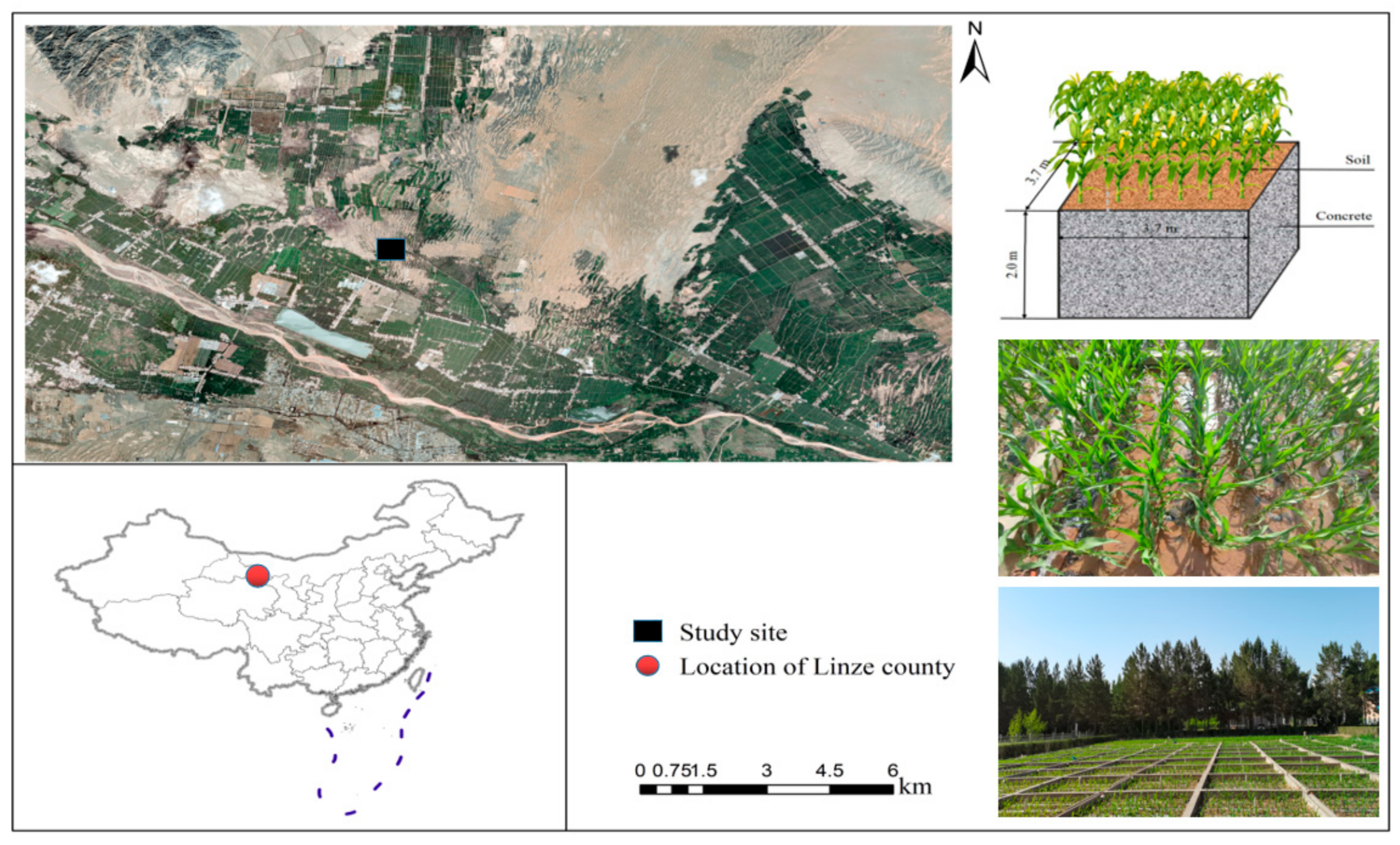 Plants 11 00909 g004 550