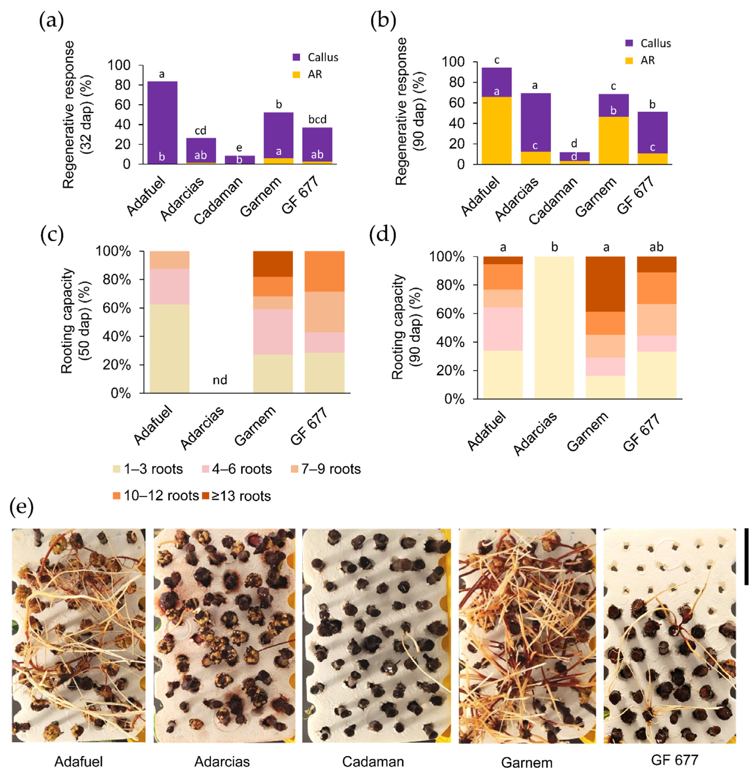 Plants 11 00913 g001 550