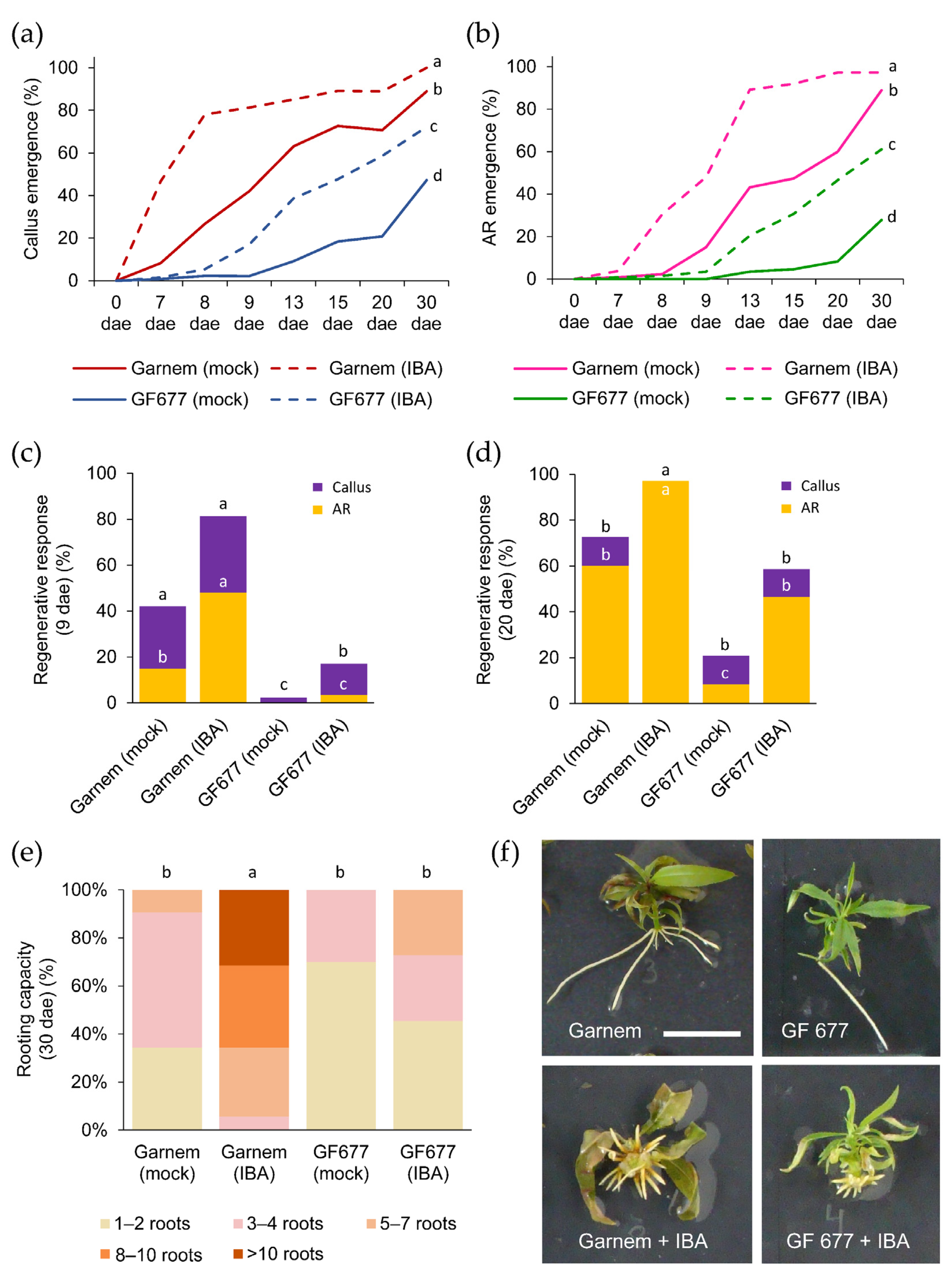 Plants 11 00913 g003 550