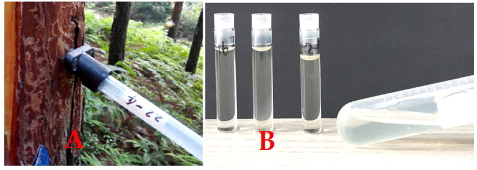 Plants 11 00914 g001