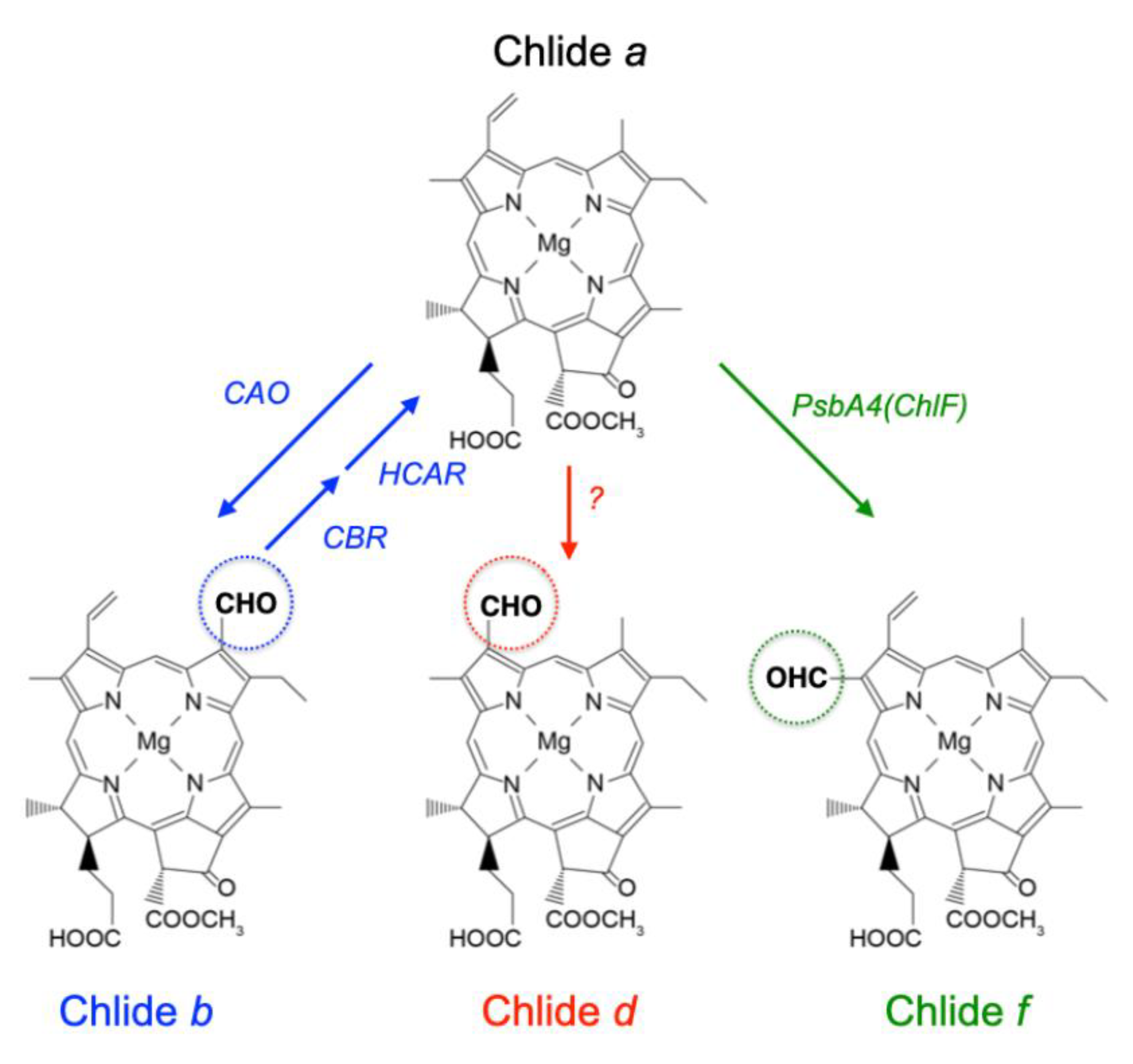 Plants 11 00915 g001 Plants 11 00915 g001